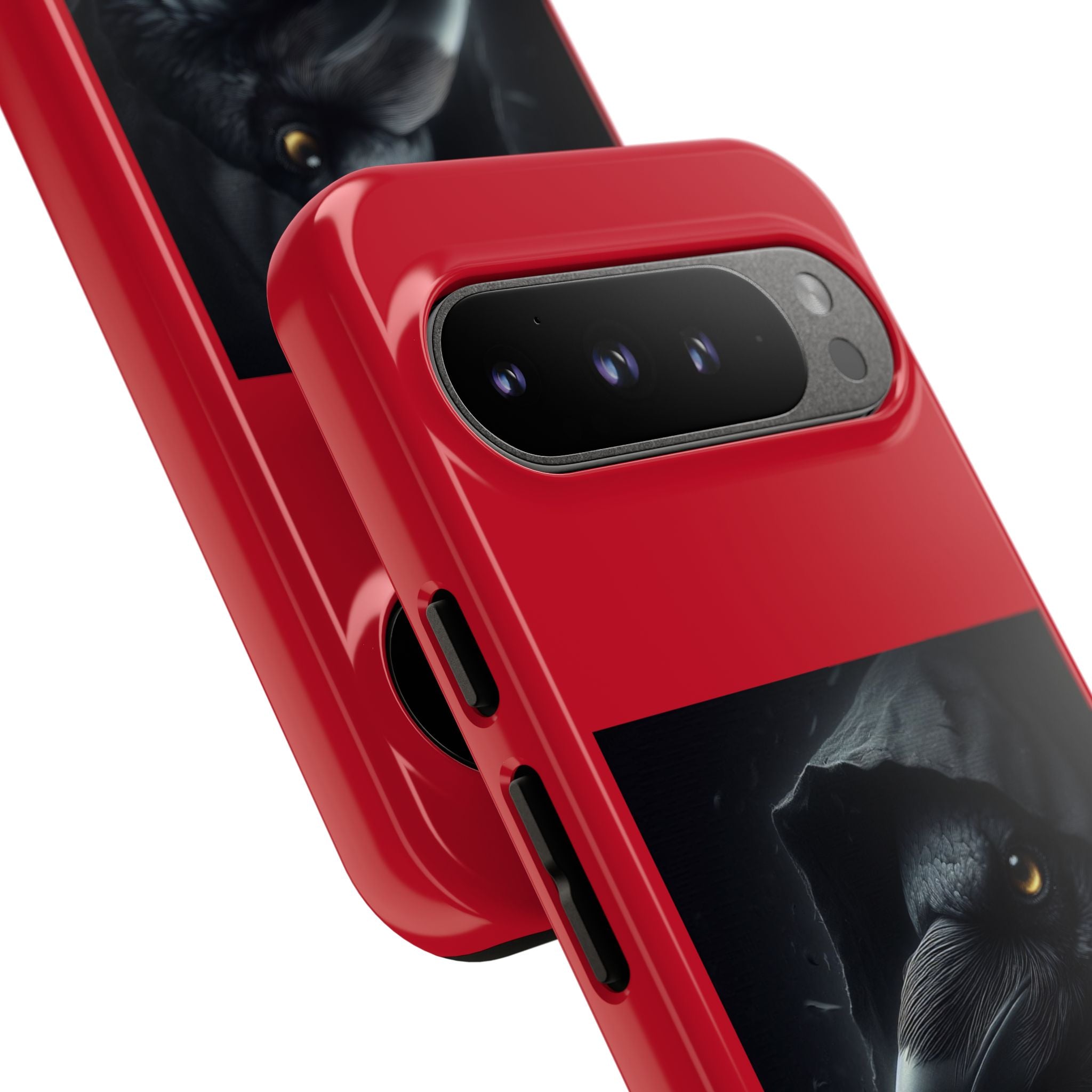 The Raven King Cases