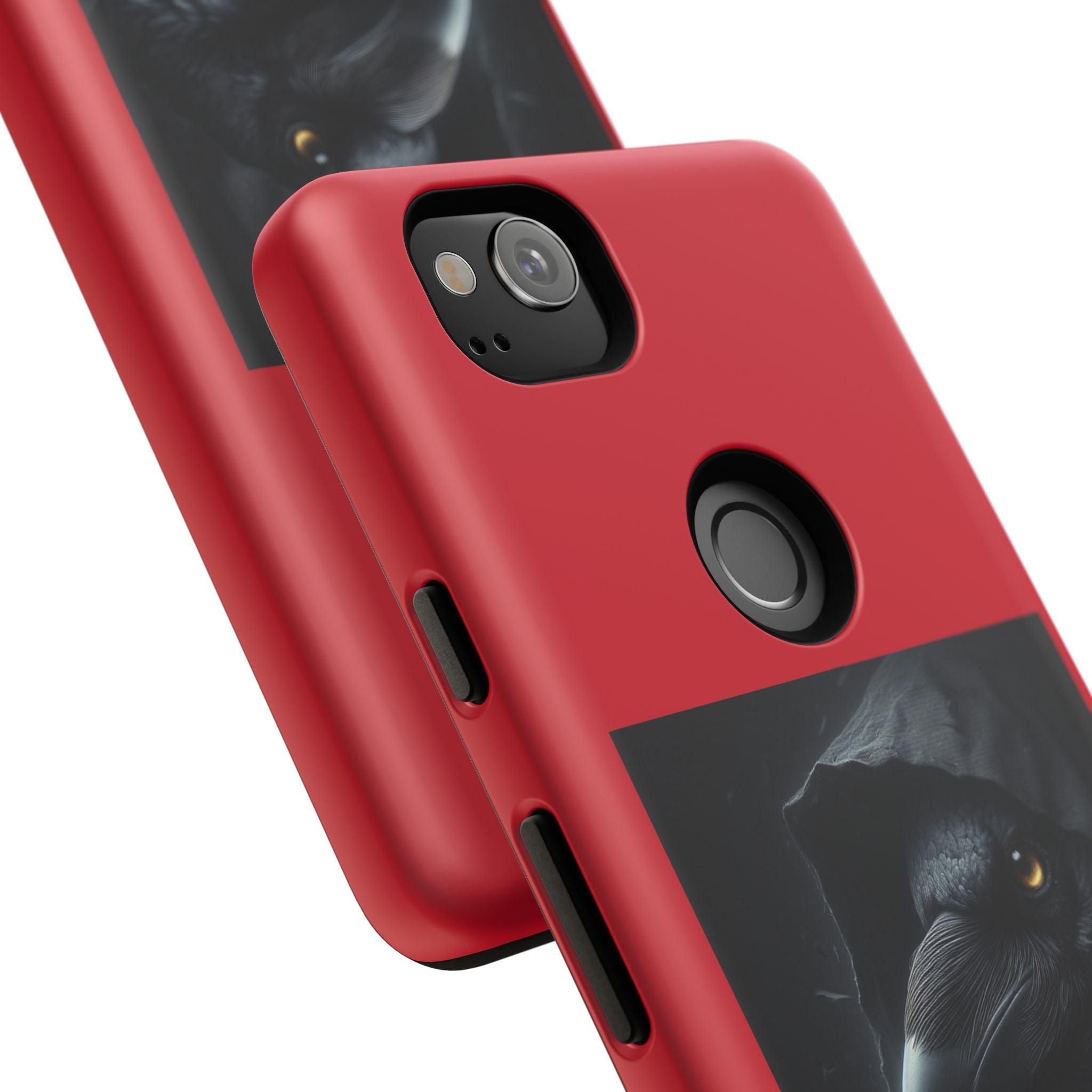 The Raven King Cases