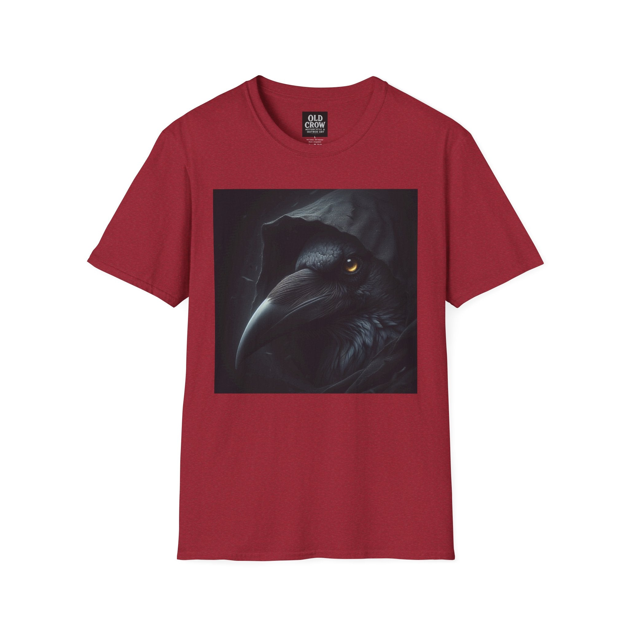 Mystical Crow in Hood T-Shirt