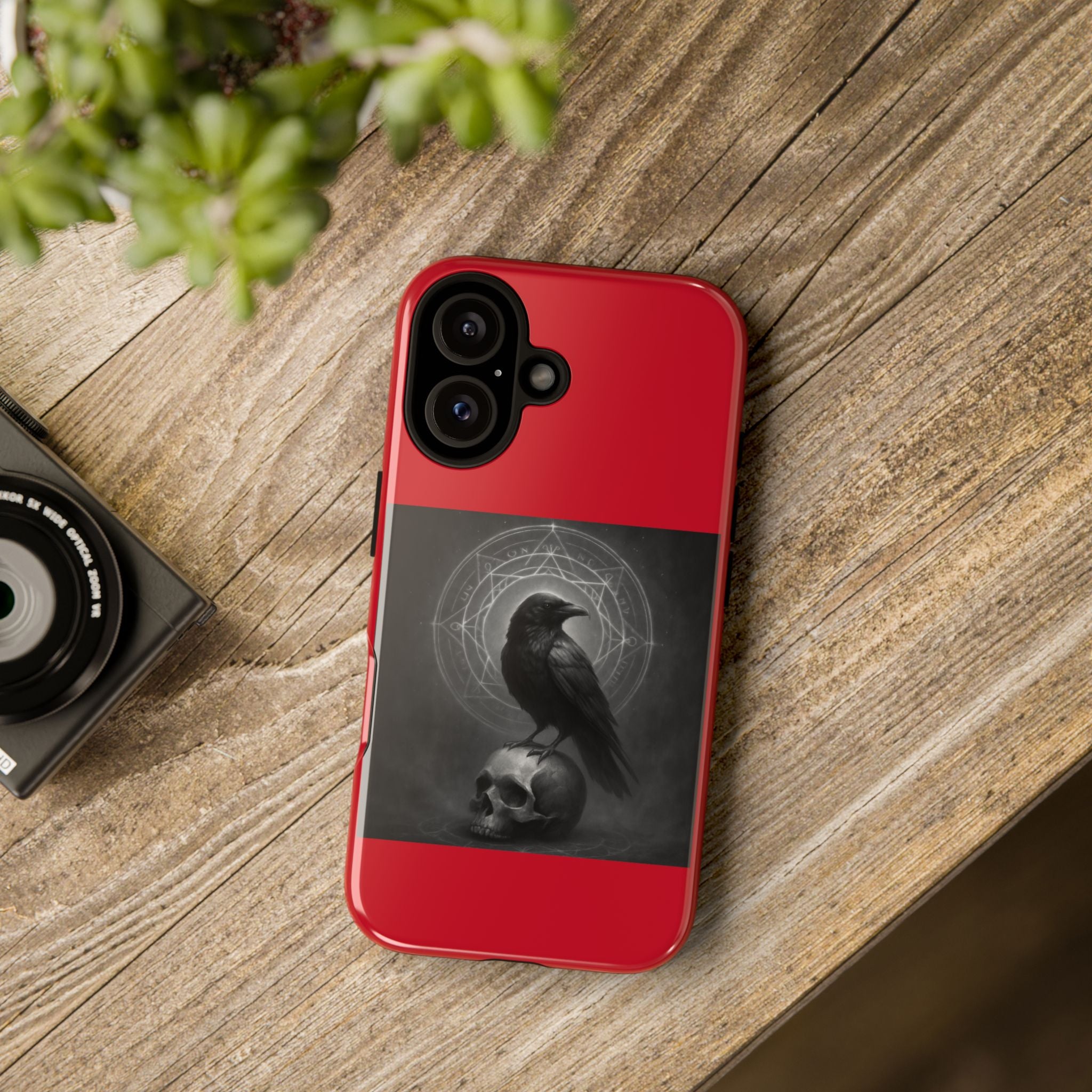 Occult Raven Sigil & Skull Art Cases