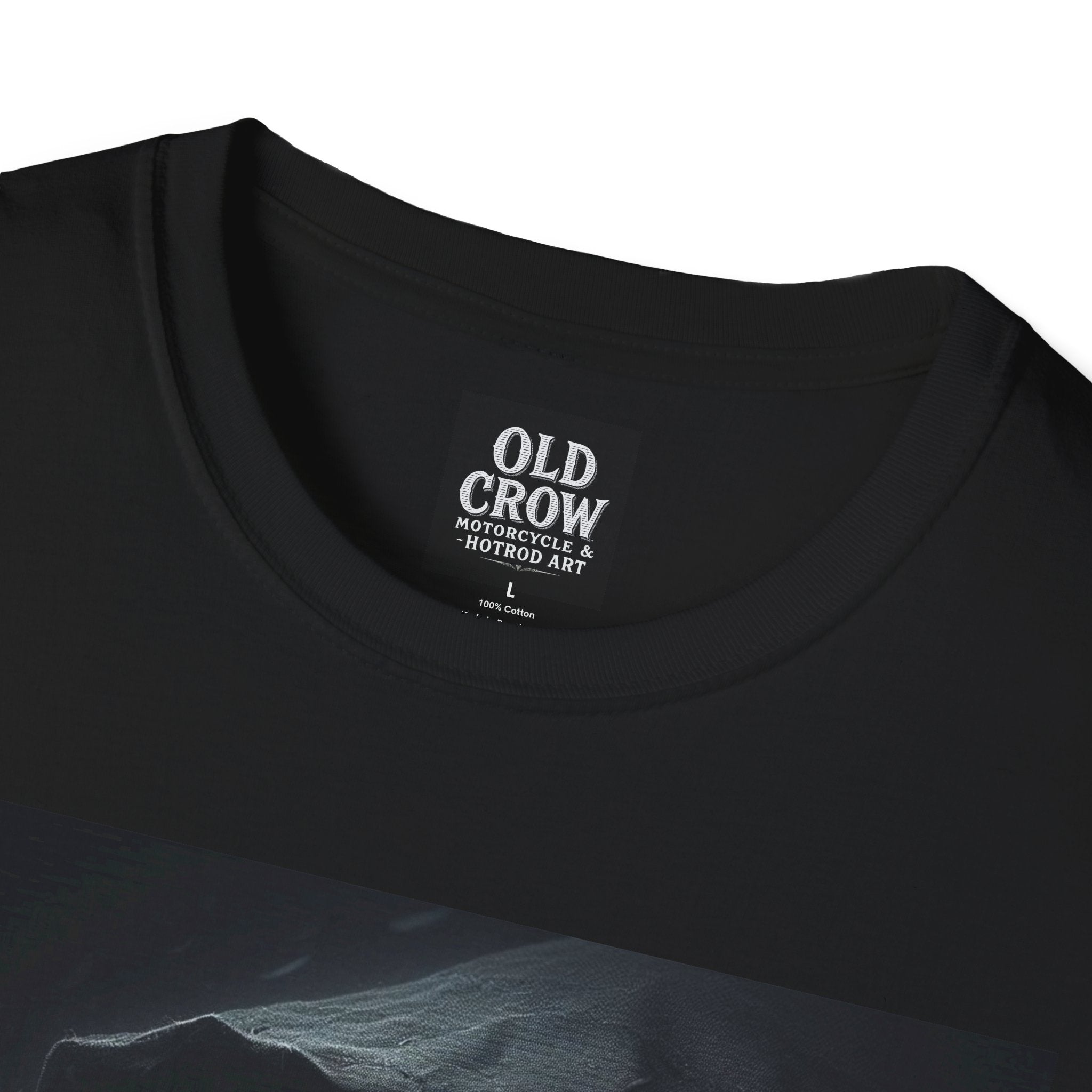 Mystical Crow in Hood T-Shirt