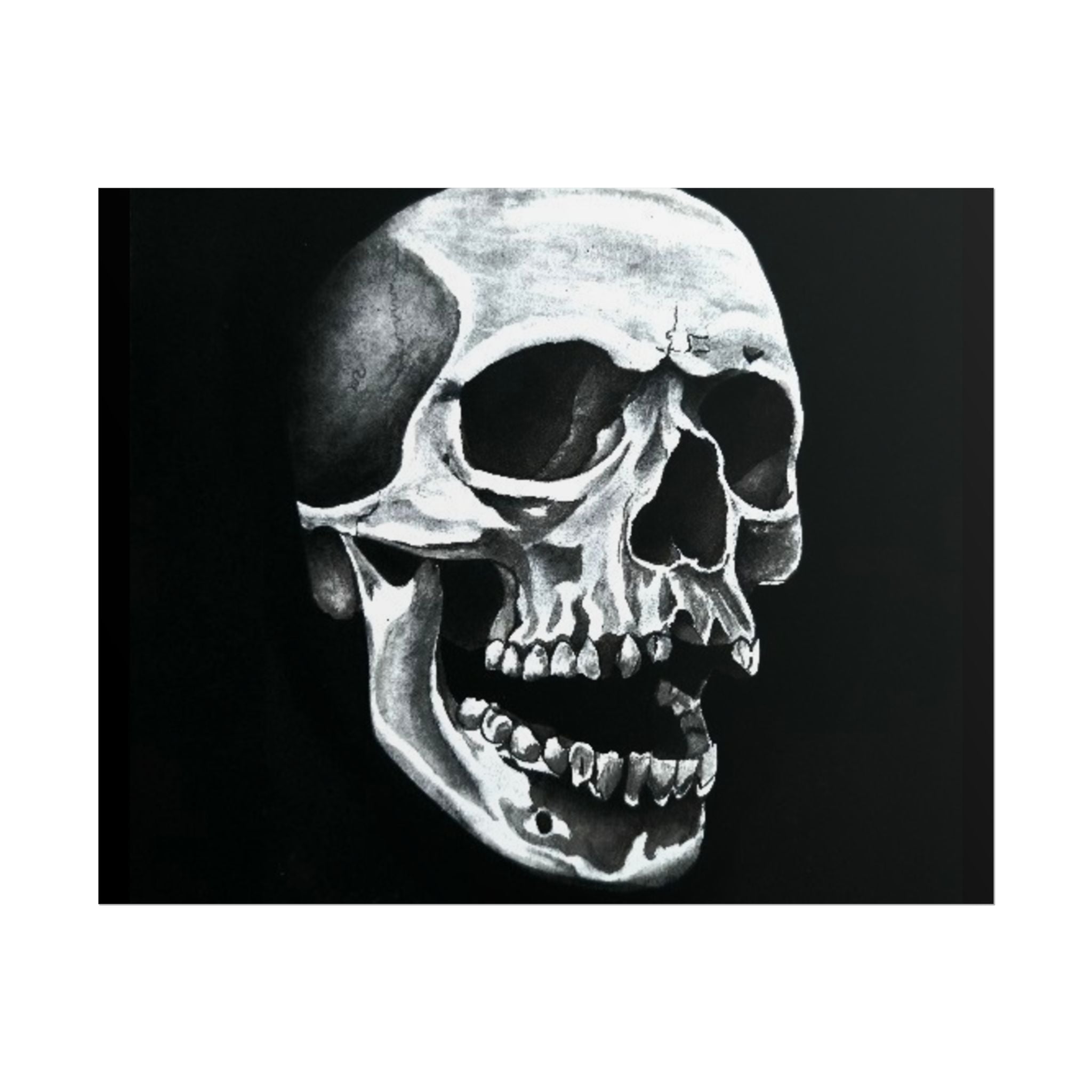 Skull Art Rolled Posters
