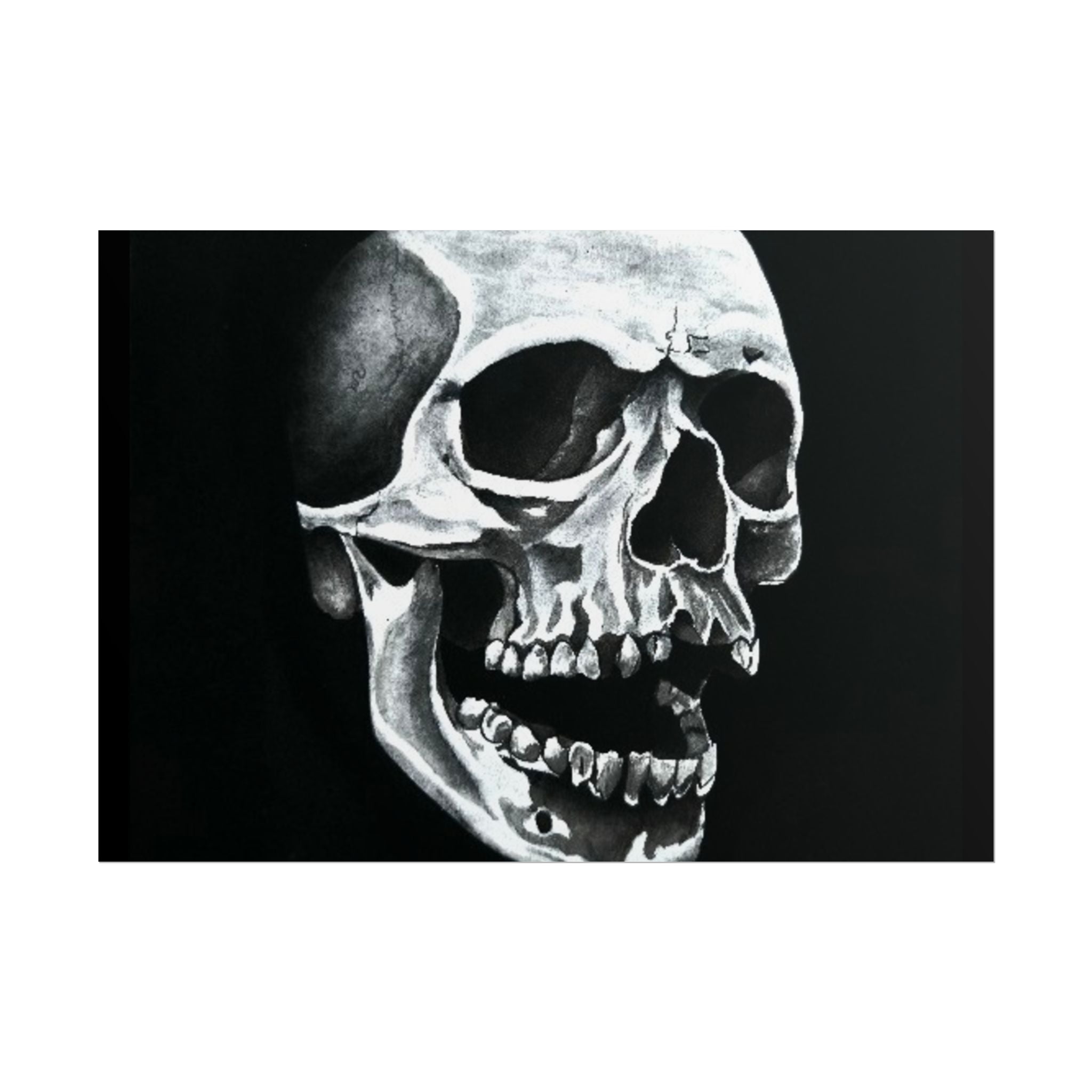 Skull Art Rolled Posters