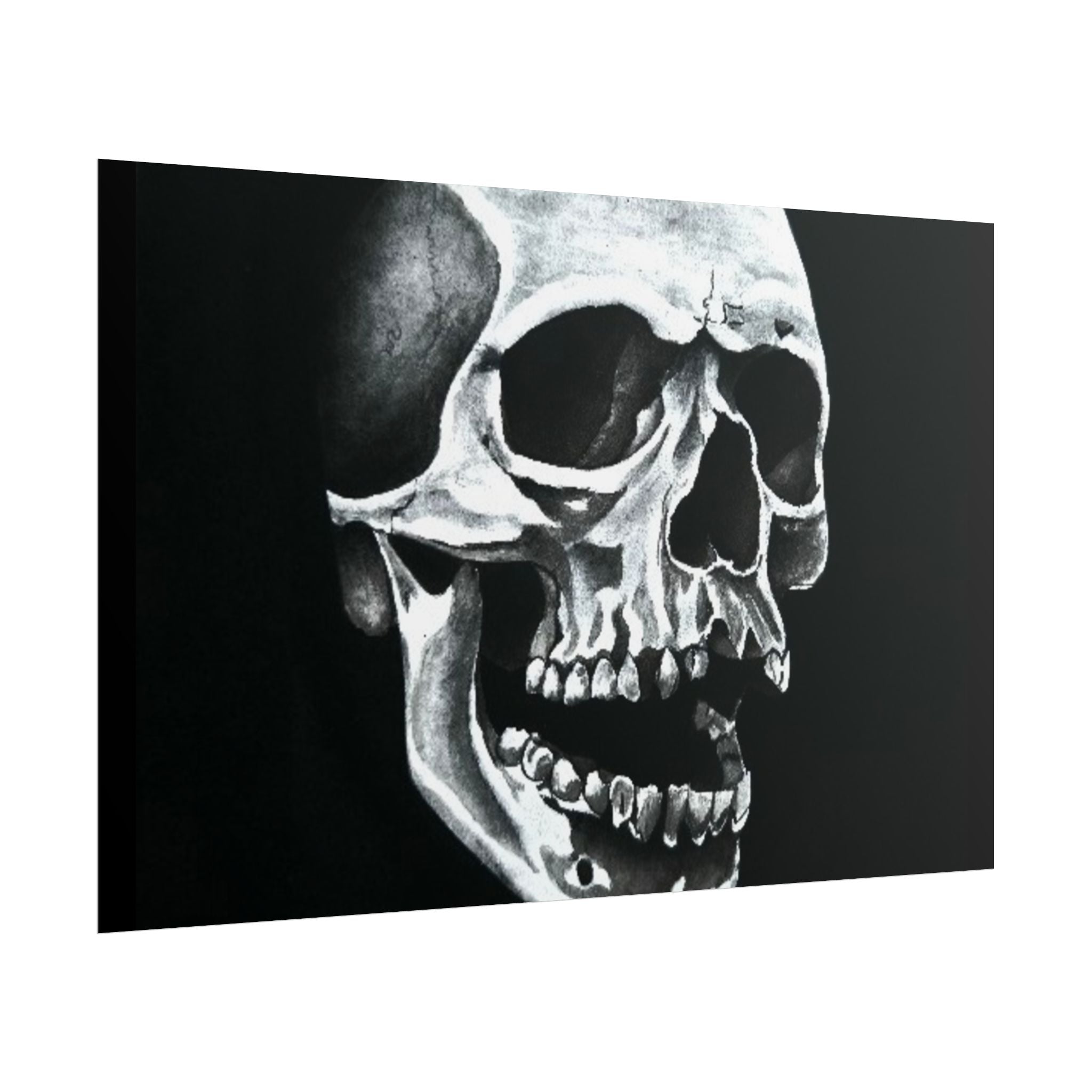 Skull Art Rolled Posters