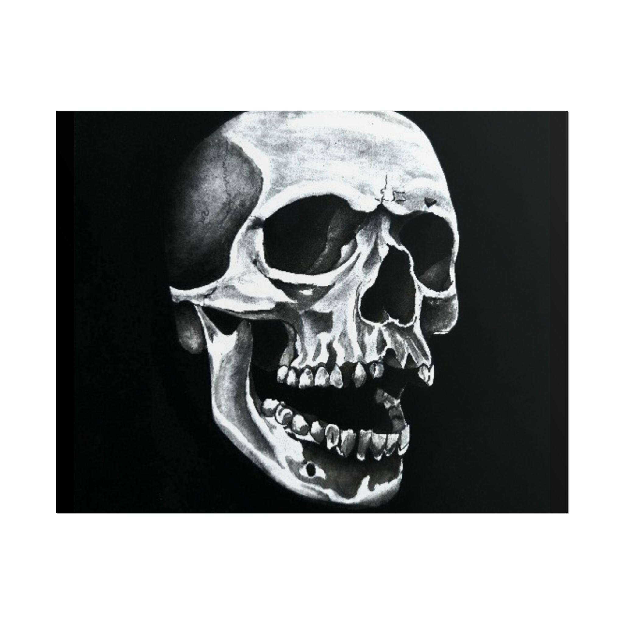 Skull Art Rolled Posters