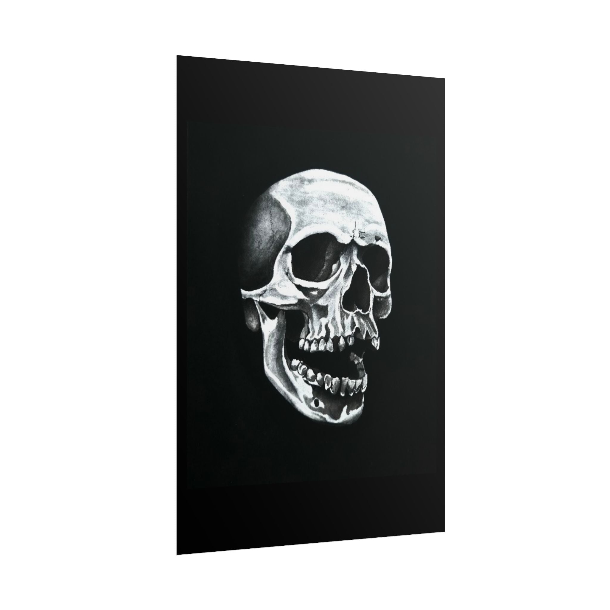 Skull Art Rolled Posters