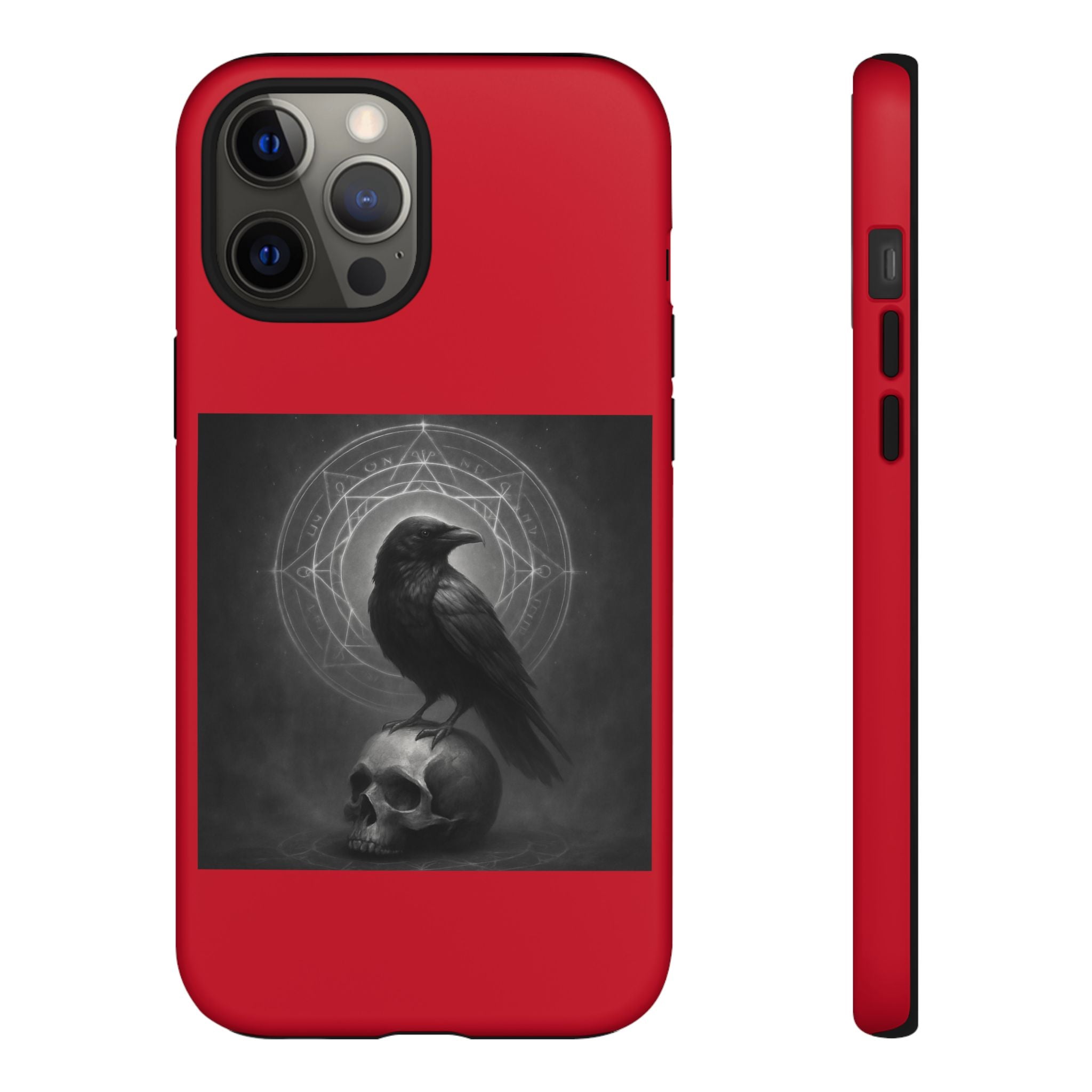 Occult Raven Sigil & Skull Art Cases