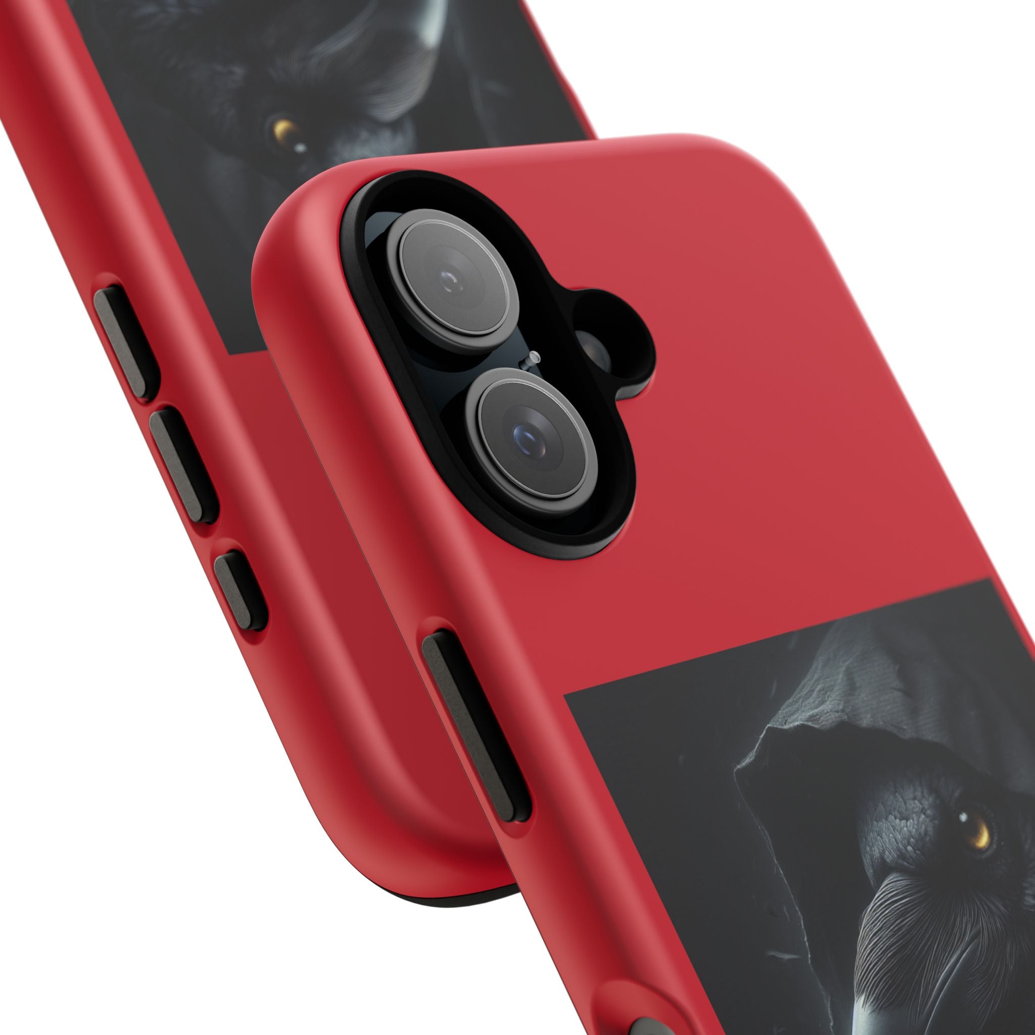 The Raven King Cases