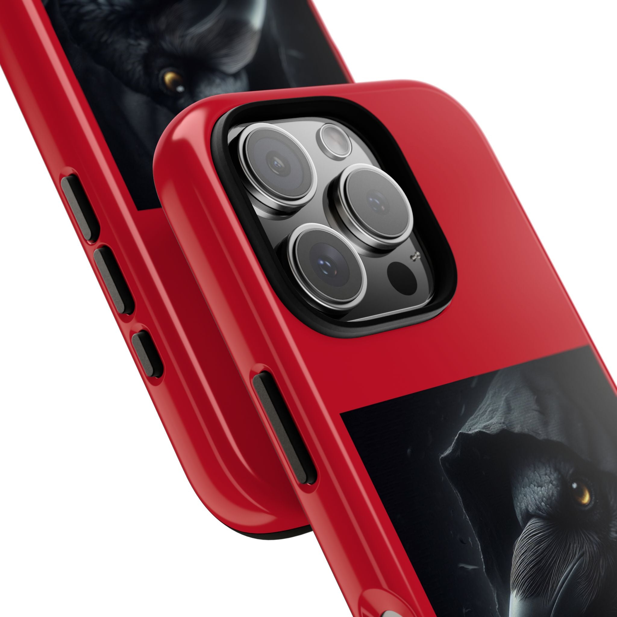 The Raven King Cases