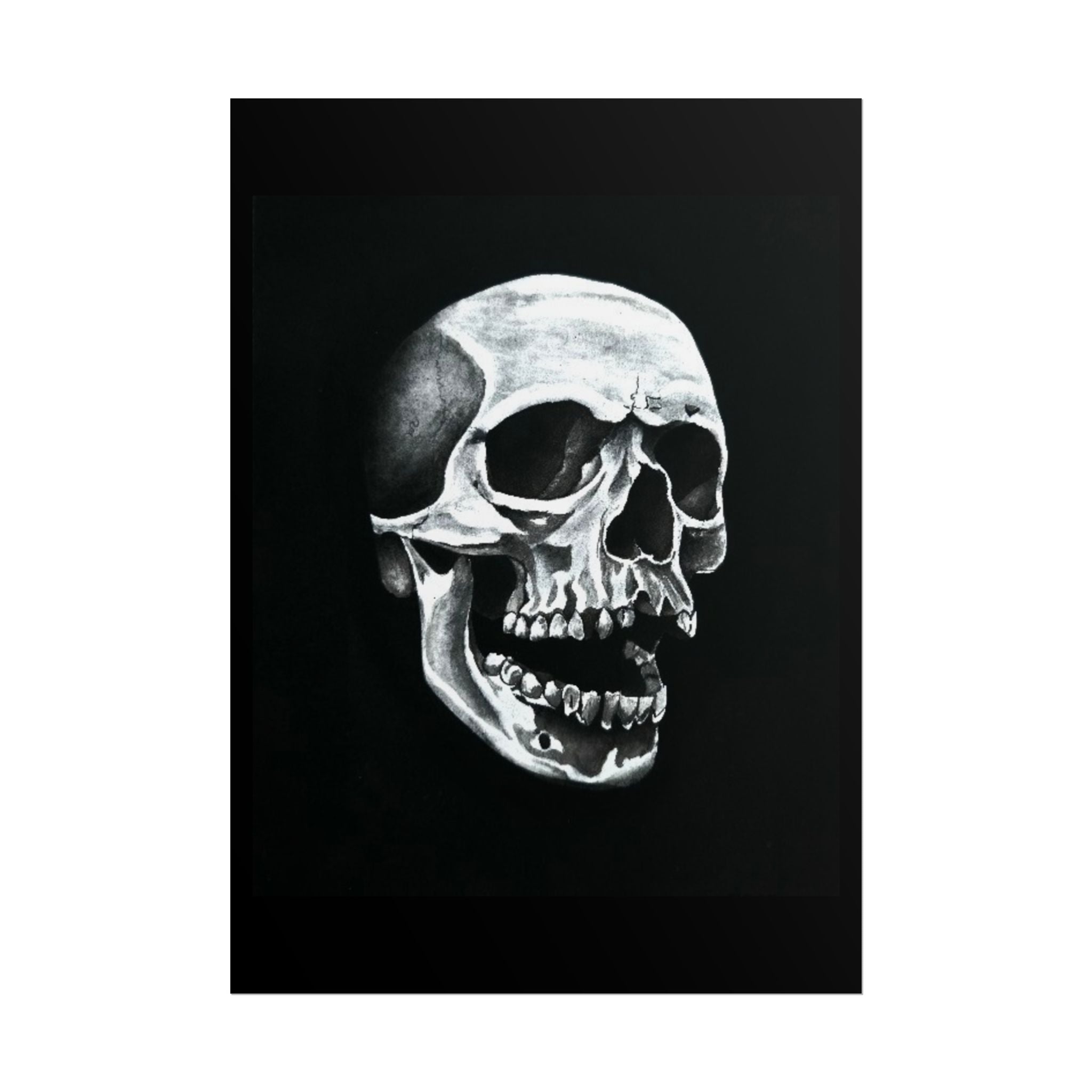 Skull Art Rolled Posters
