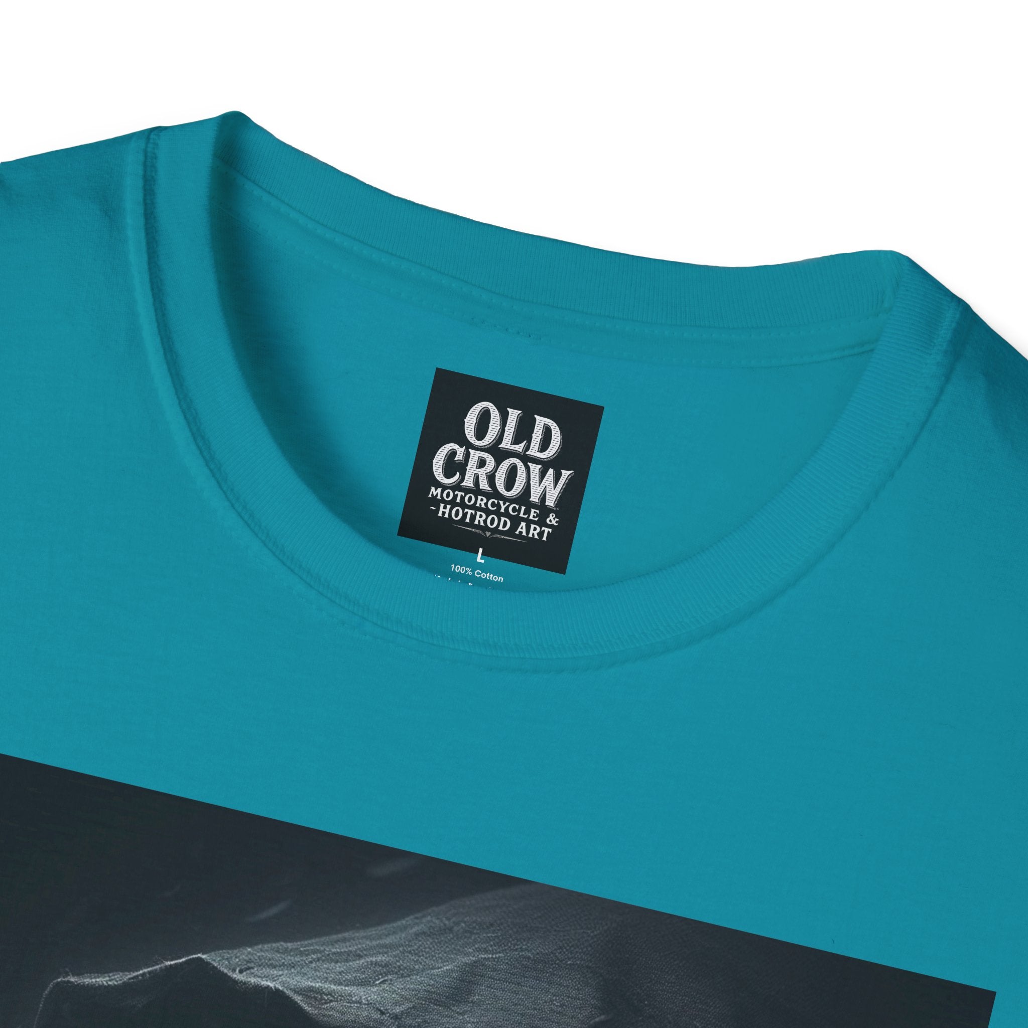 Mystical Crow in Hood T-Shirt