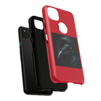 The Raven King Cases