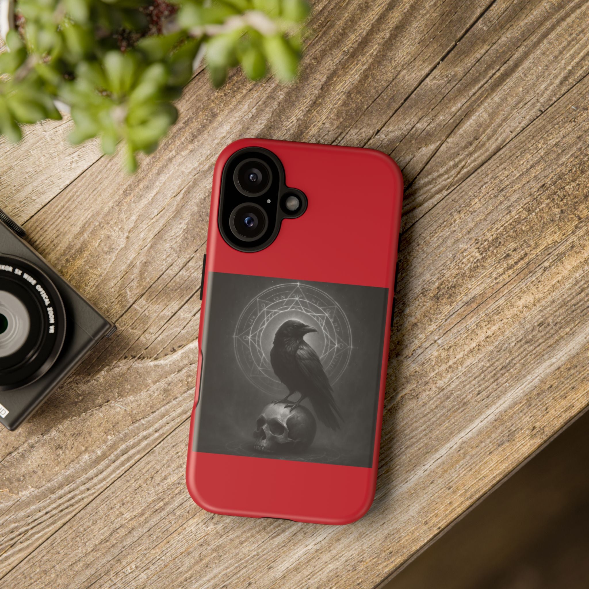 Occult Raven Sigil & Skull Art Cases
