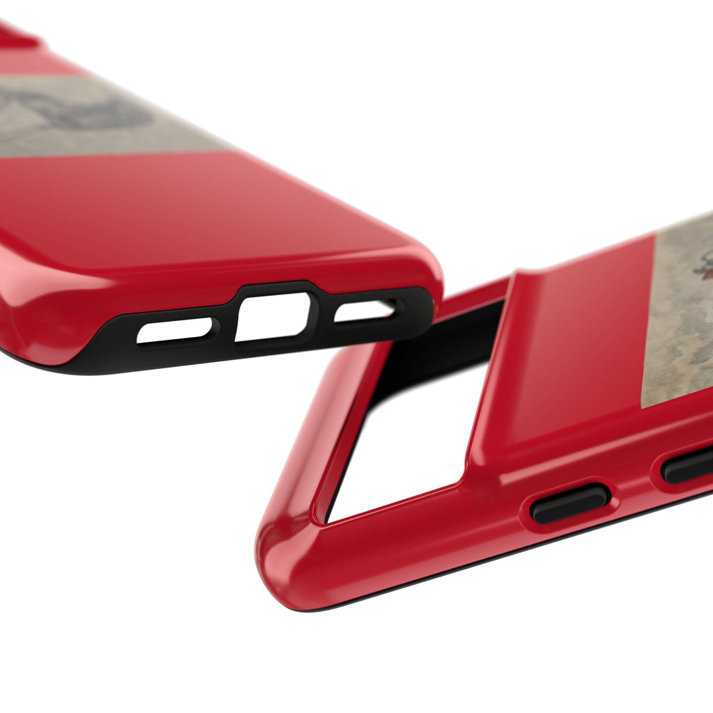 Chrome Stretched Cases