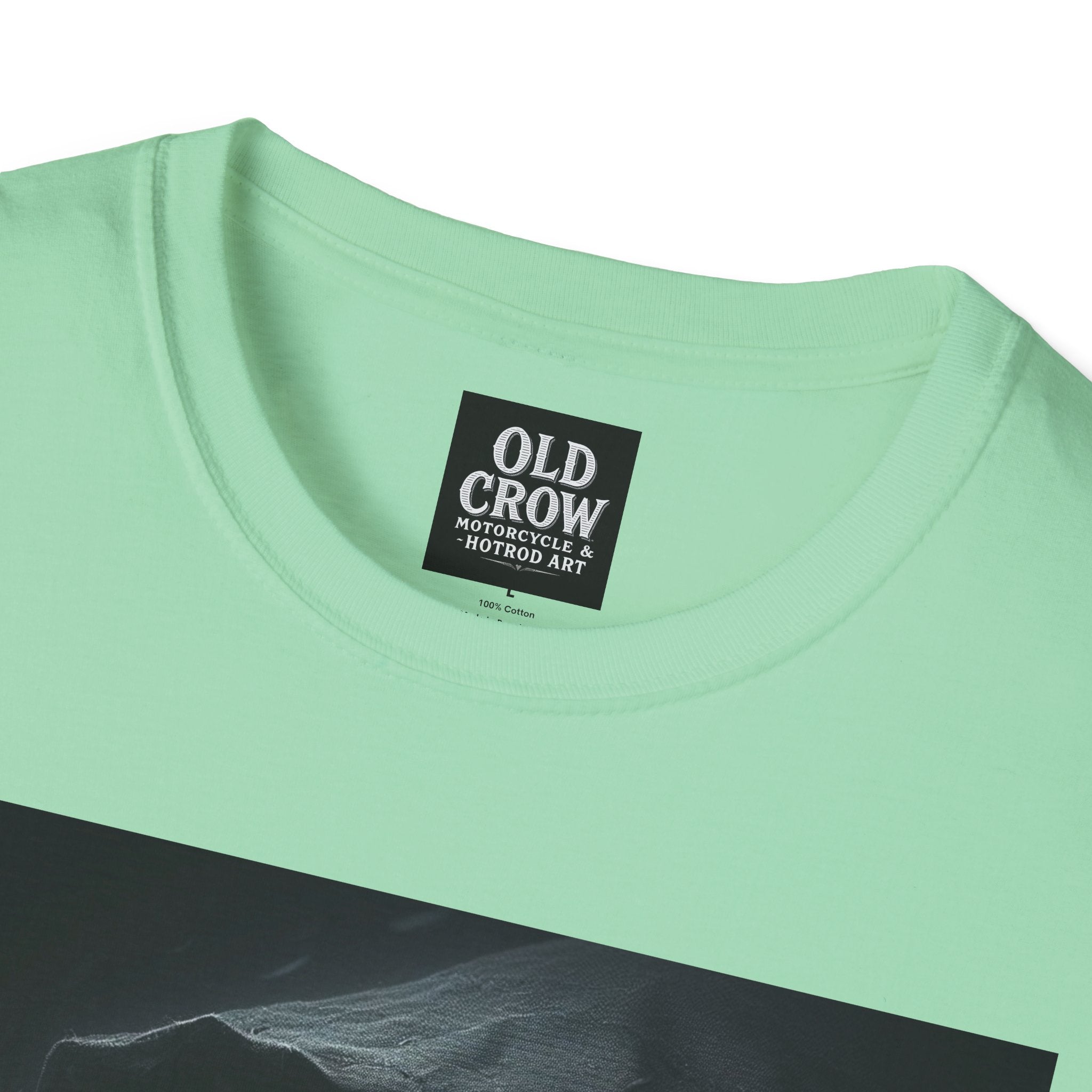 Mystical Crow in Hood T-Shirt