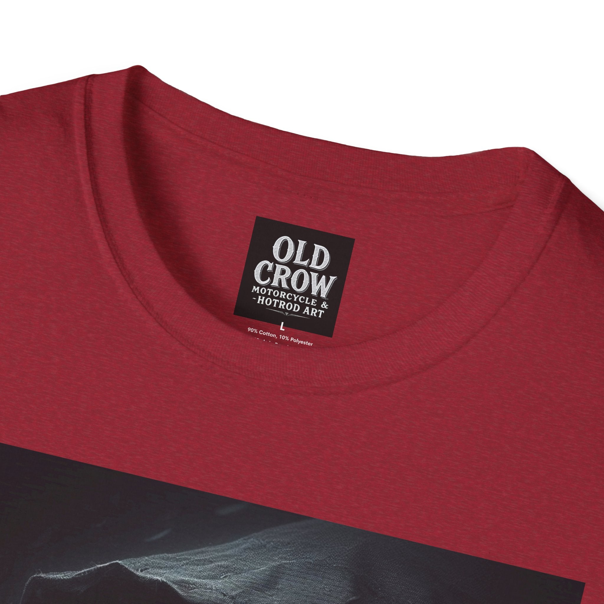 Mystical Crow in Hood T-Shirt