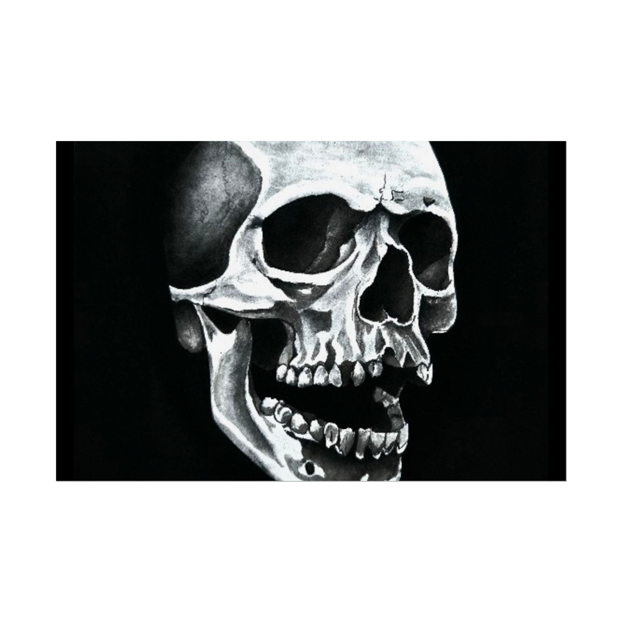 Skull Art Rolled Posters