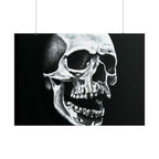 Skull Art Rolled Posters