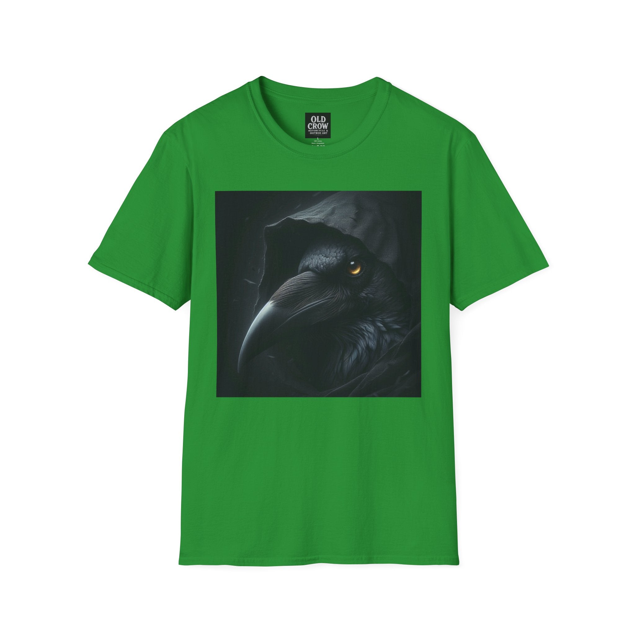 Mystical Crow in Hood T-Shirt