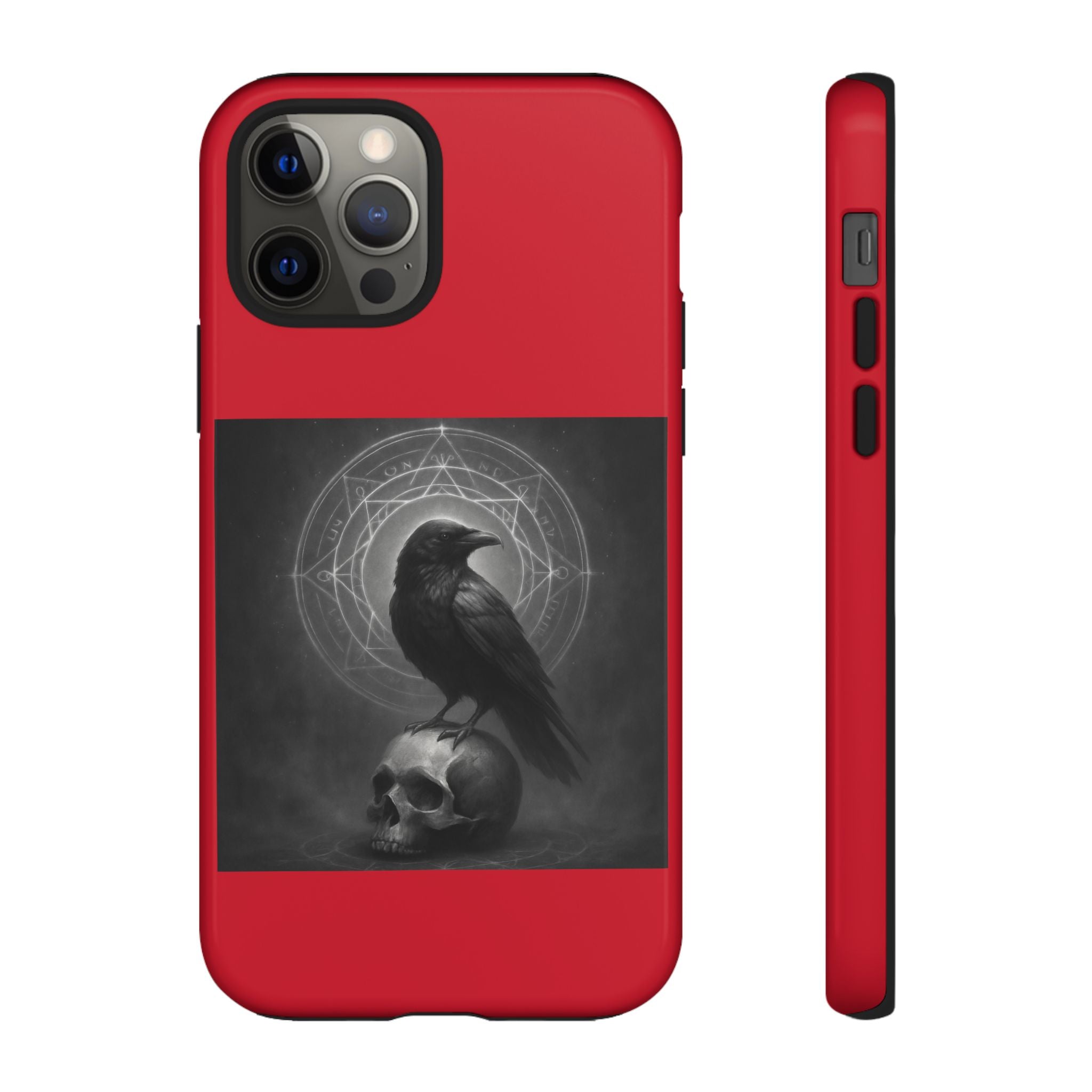 Occult Raven Sigil & Skull Art Cases