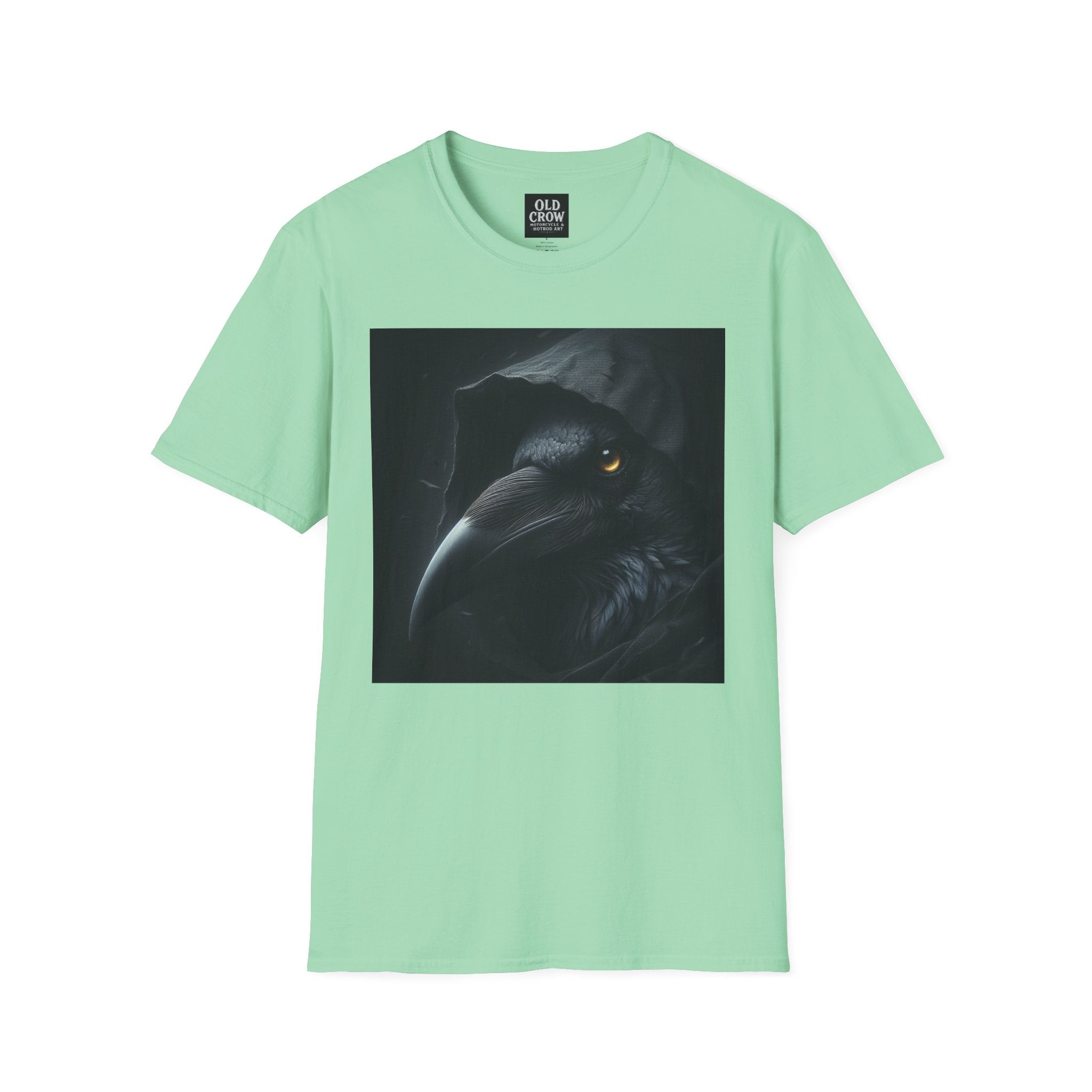 Mystical Crow in Hood T-Shirt