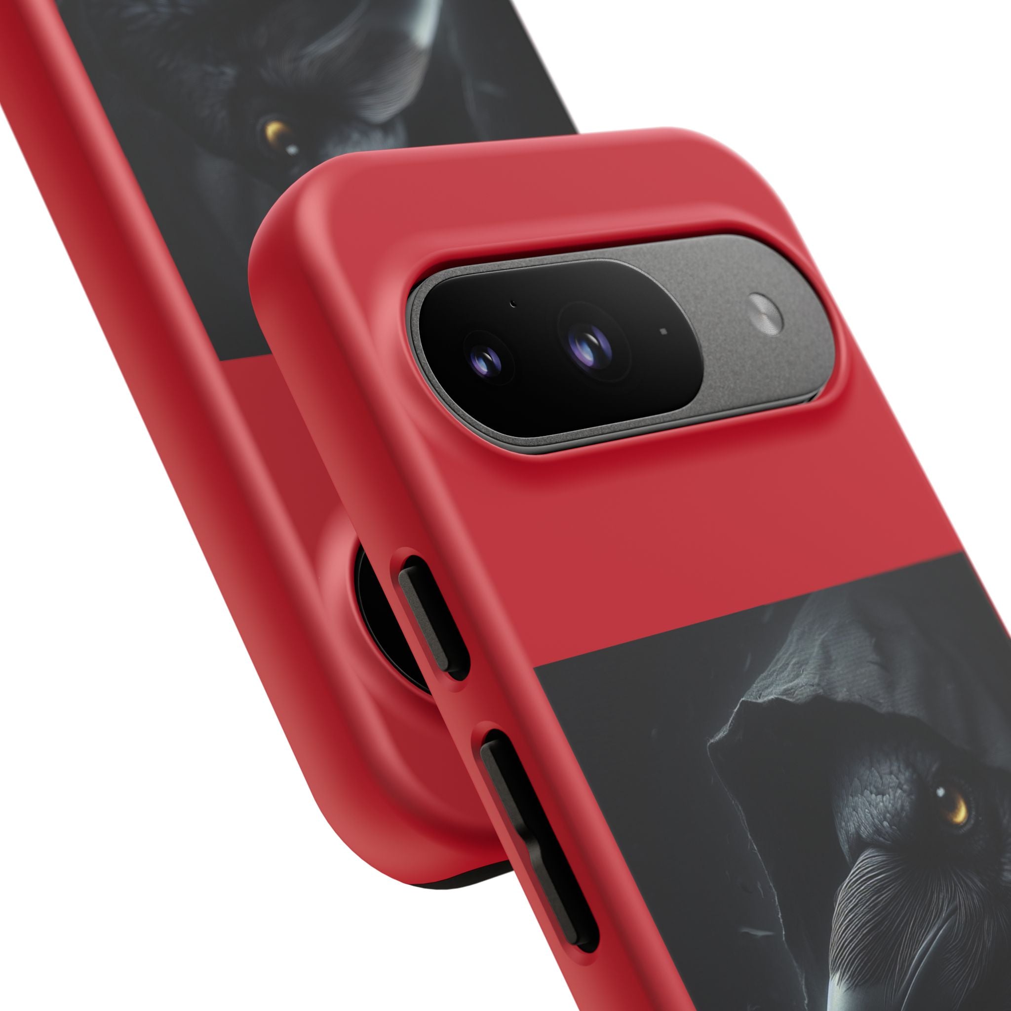 The Raven King Cases