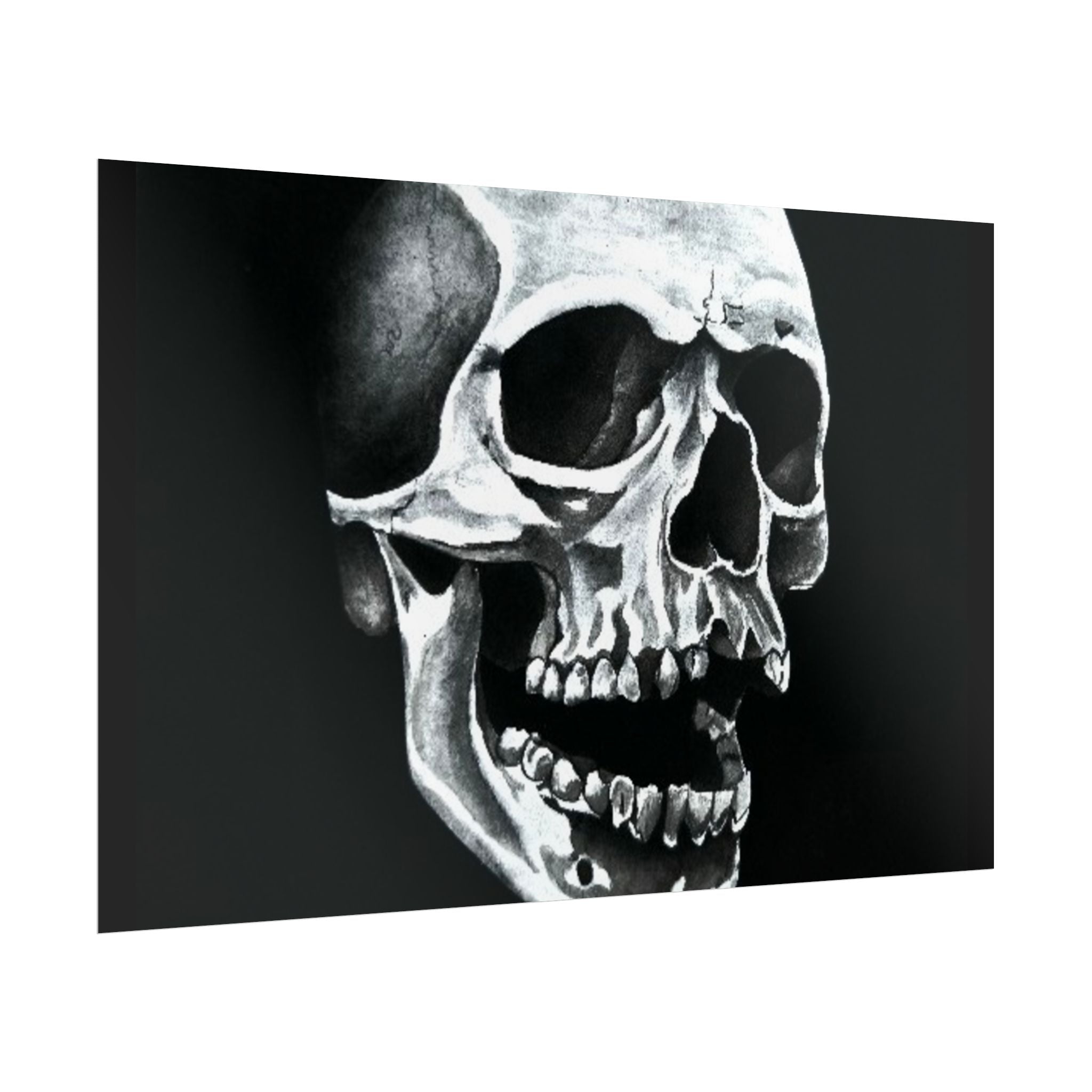 Skull Art Rolled Posters