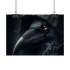 Dark Raven Hooded Rolled Poster