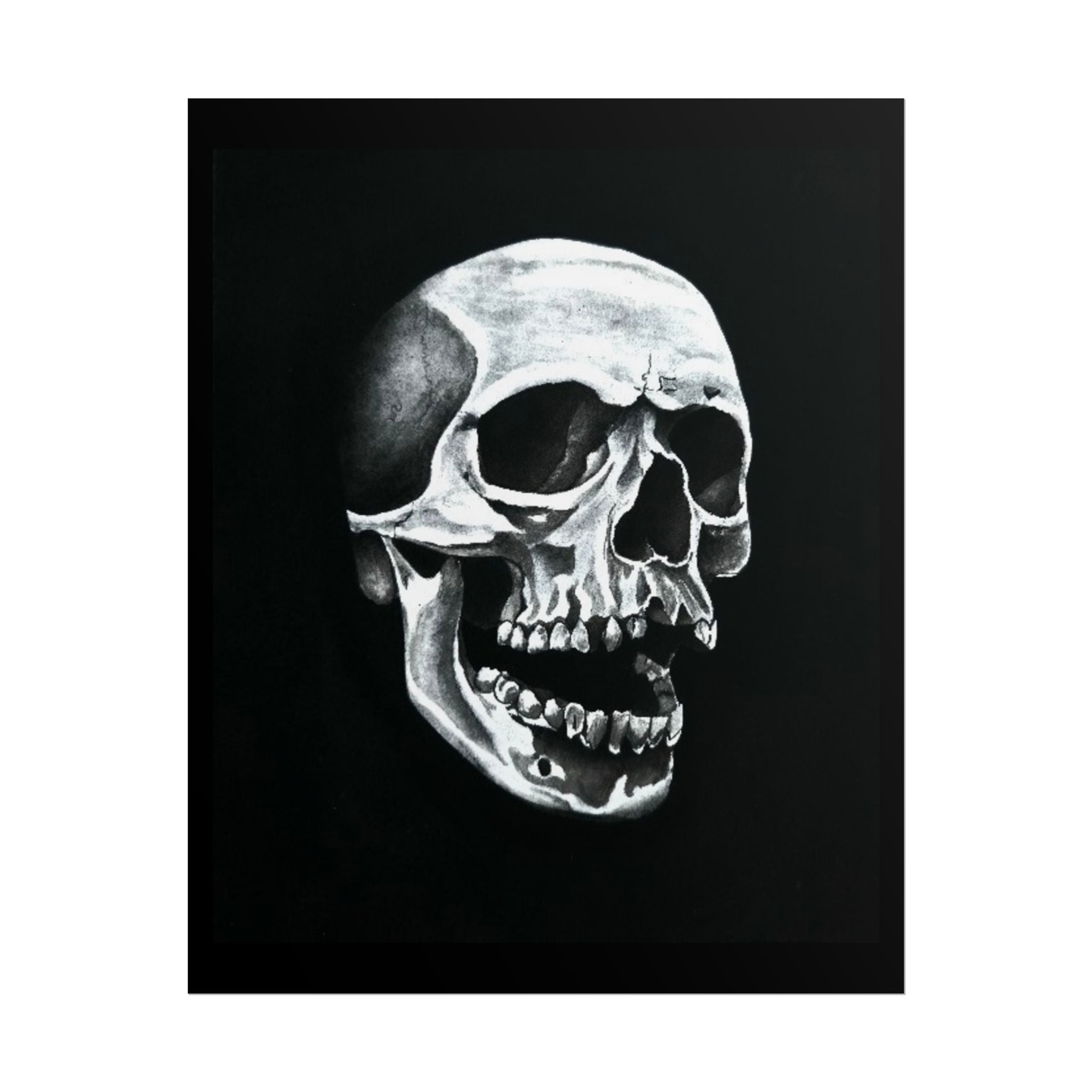 Skull Art Rolled Posters