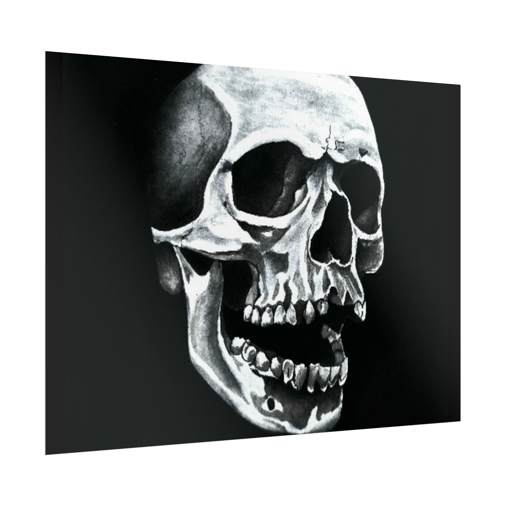 Skull Art Rolled Posters