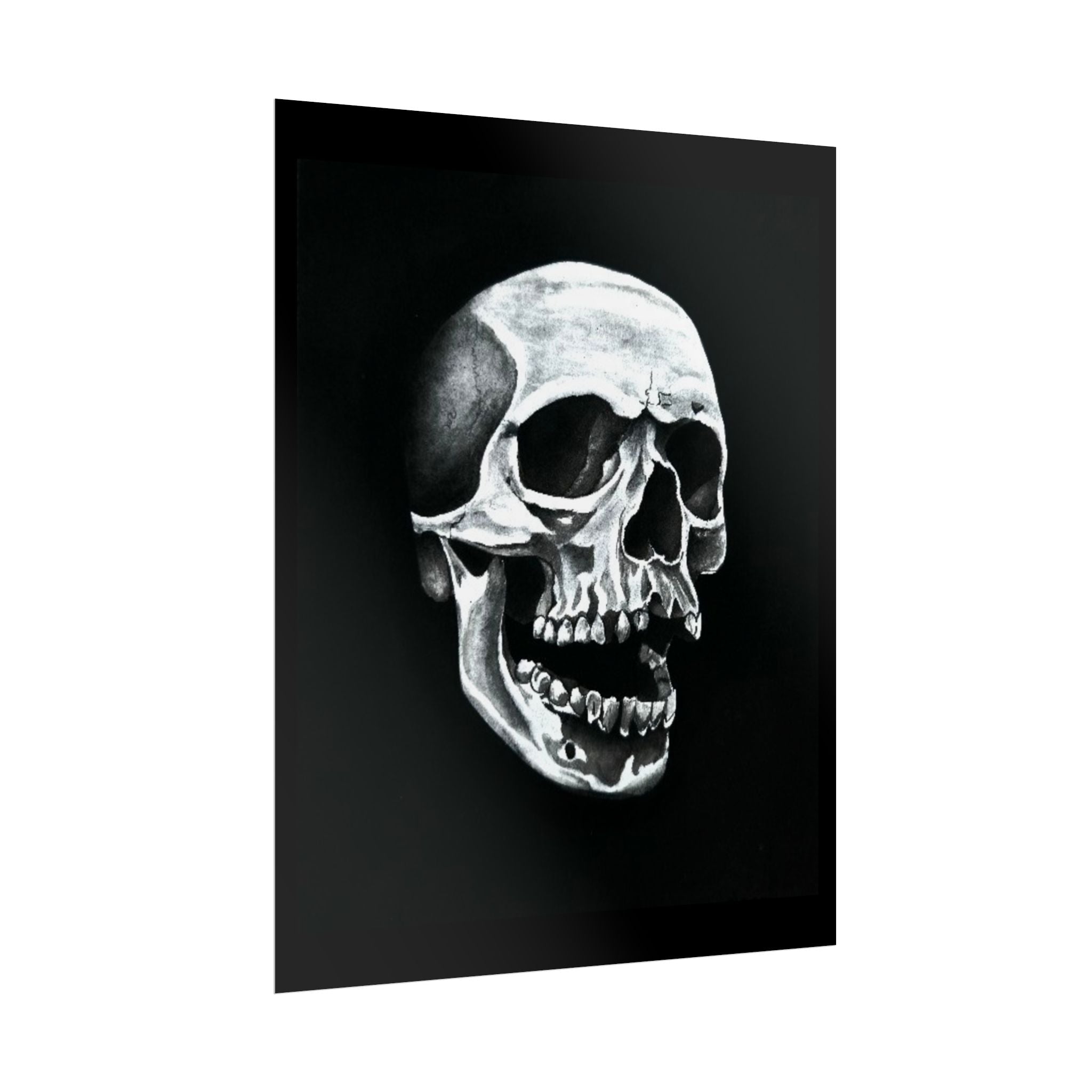 Skull Art Rolled Posters