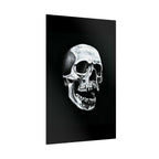 Skull Art Rolled Posters