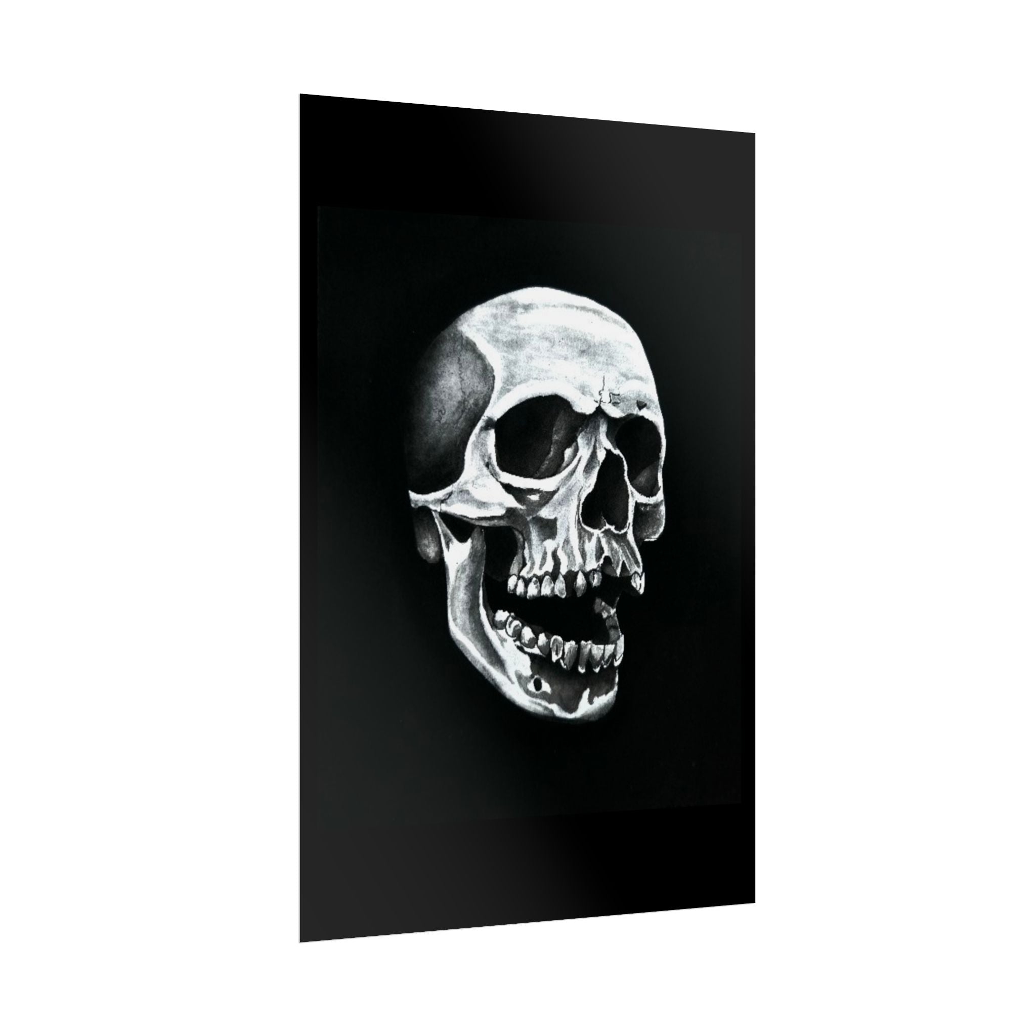 Skull Art Rolled Posters
