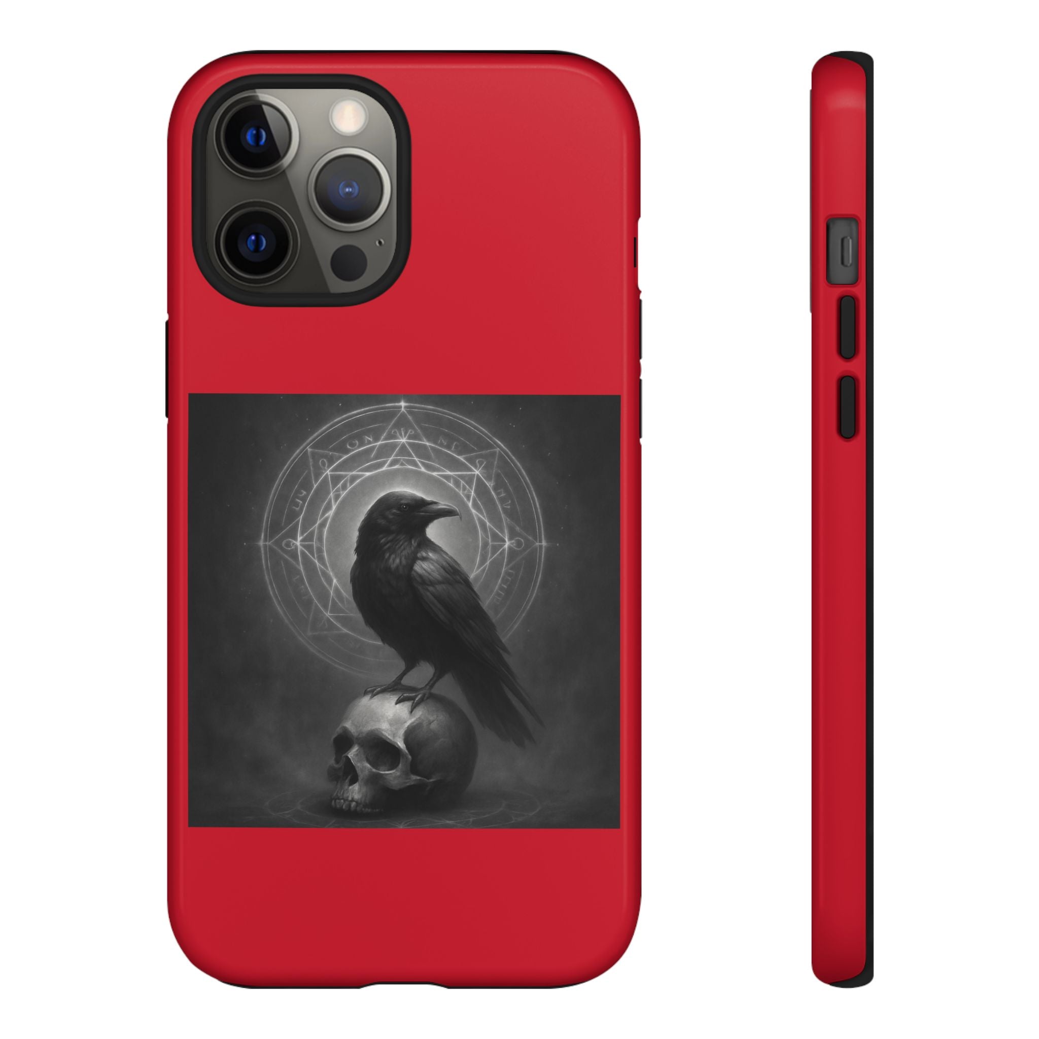 Occult Raven Sigil & Skull Art Cases