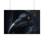 Dark Raven Hooded Rolled Poster