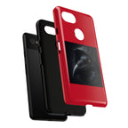 The Raven King Cases
