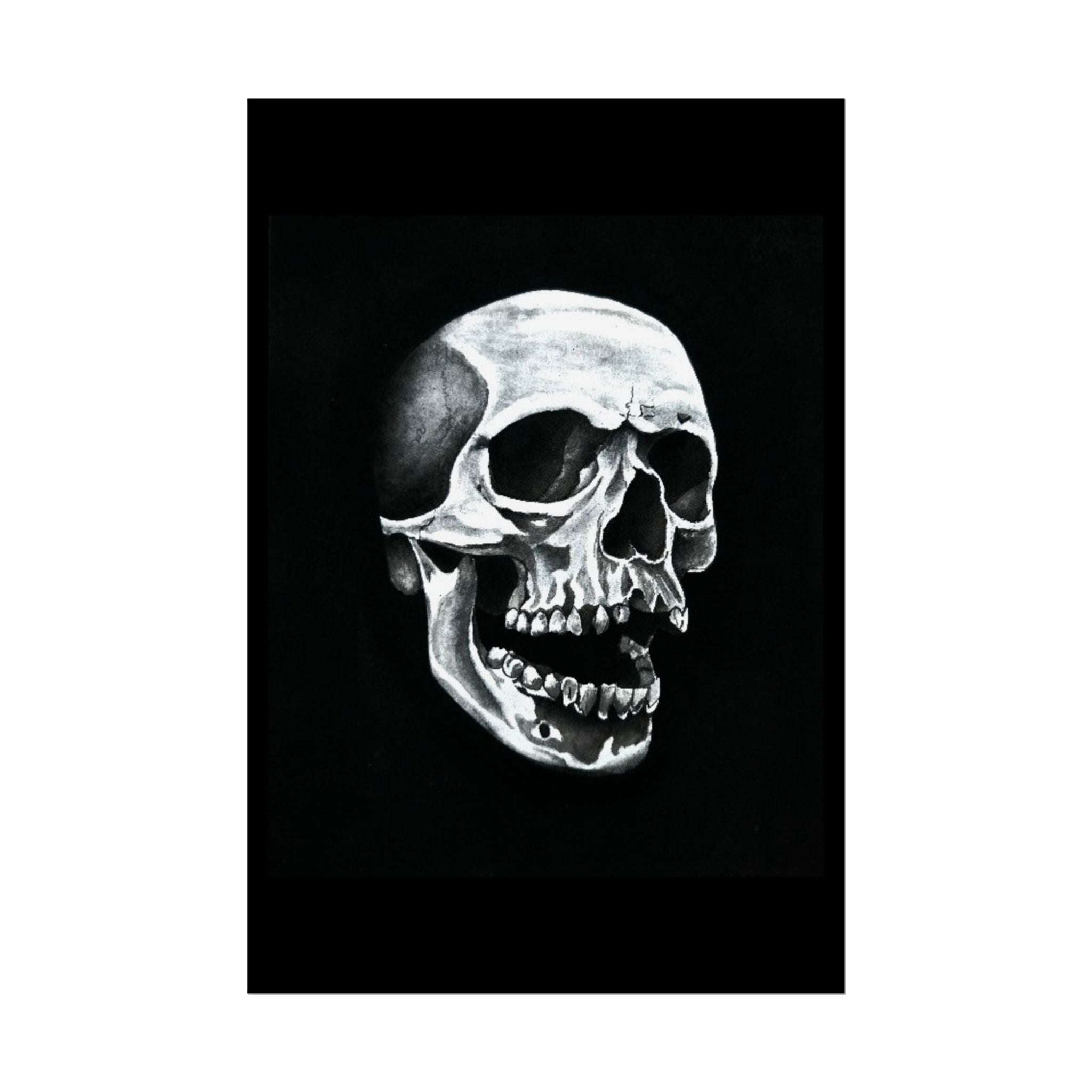Skull Art Rolled Posters