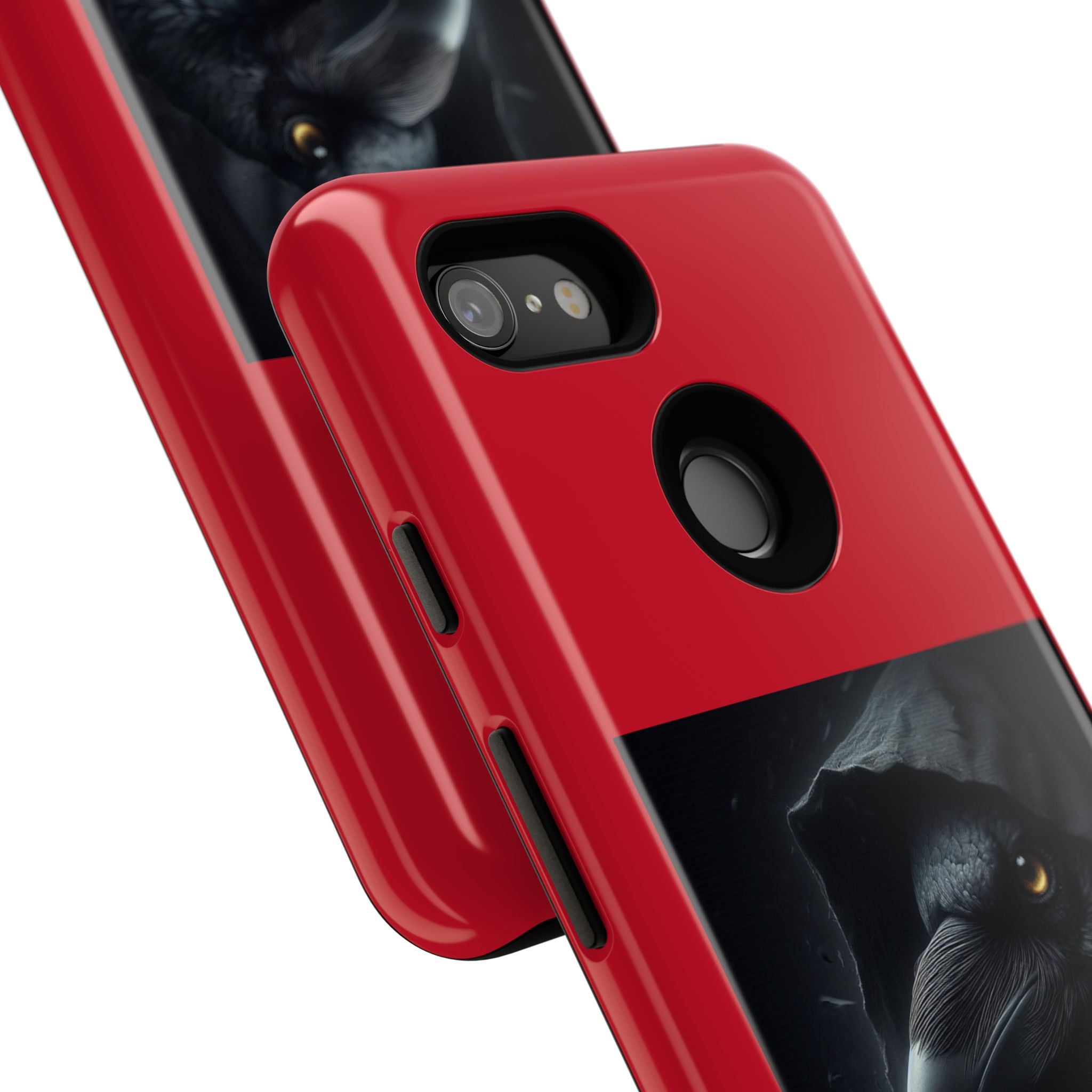The Raven King Cases