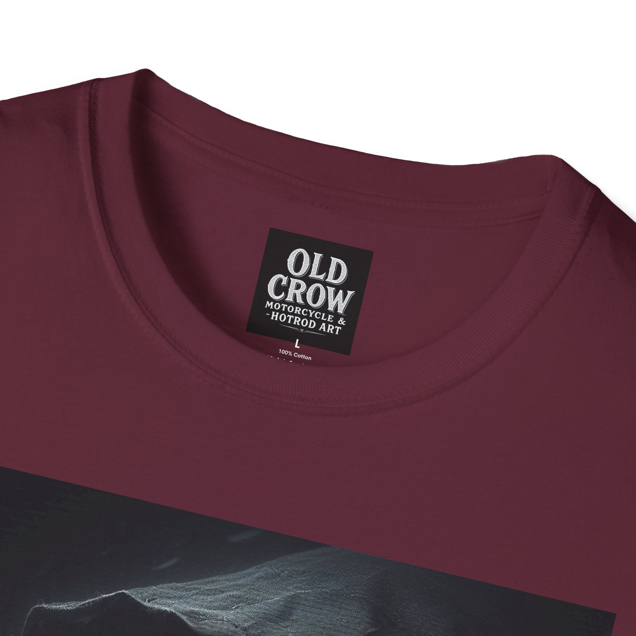 Mystical Crow in Hood T-Shirt