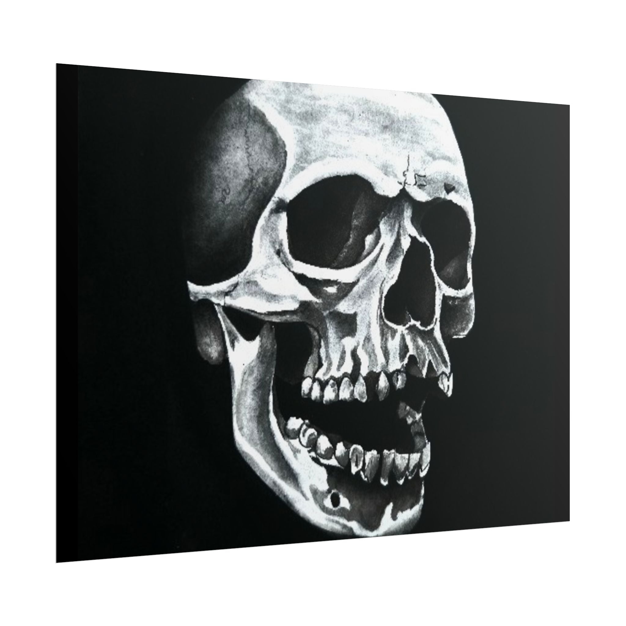 Skull Art Rolled Posters