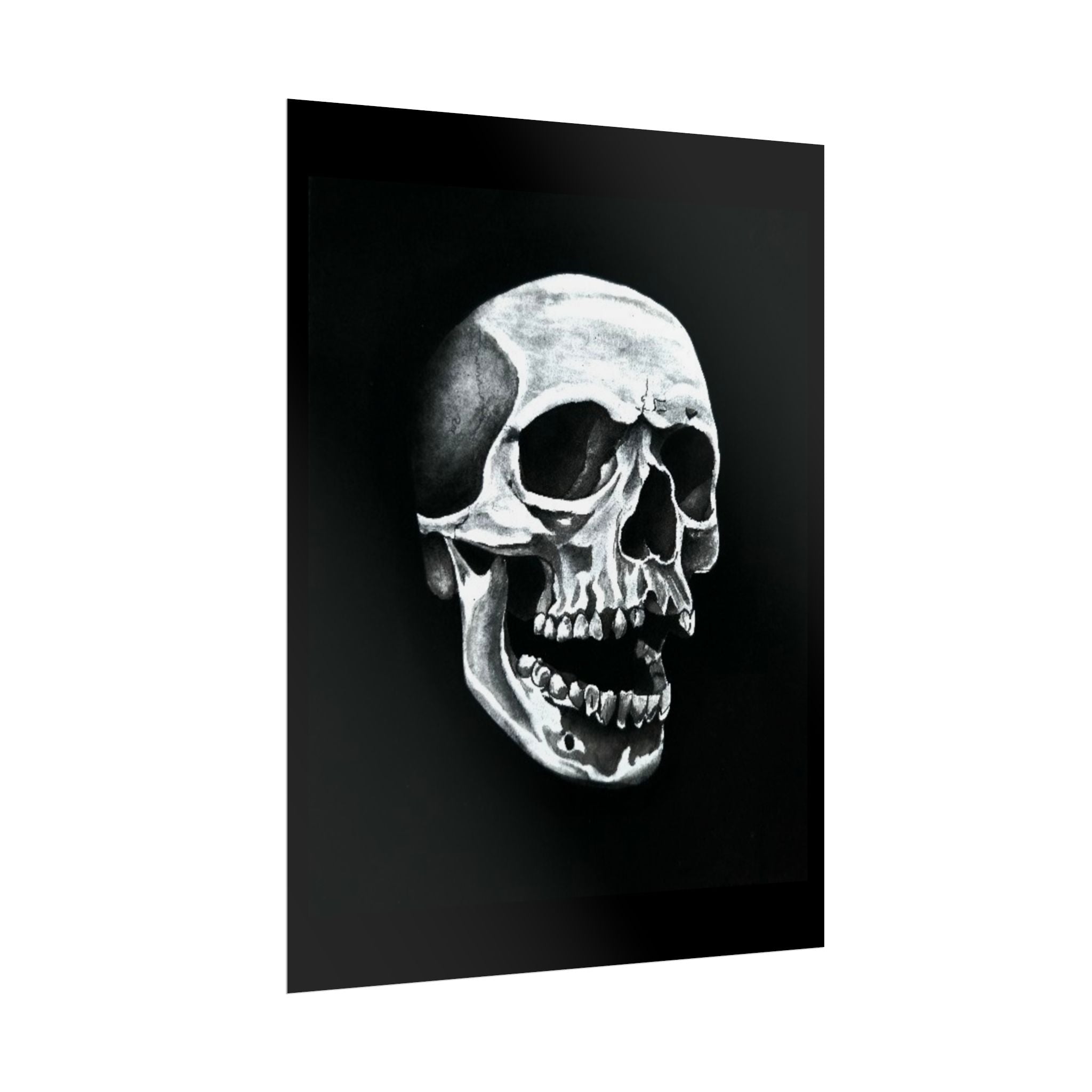 Skull Art Rolled Posters