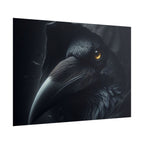 Dark Raven Hooded Rolled Poster