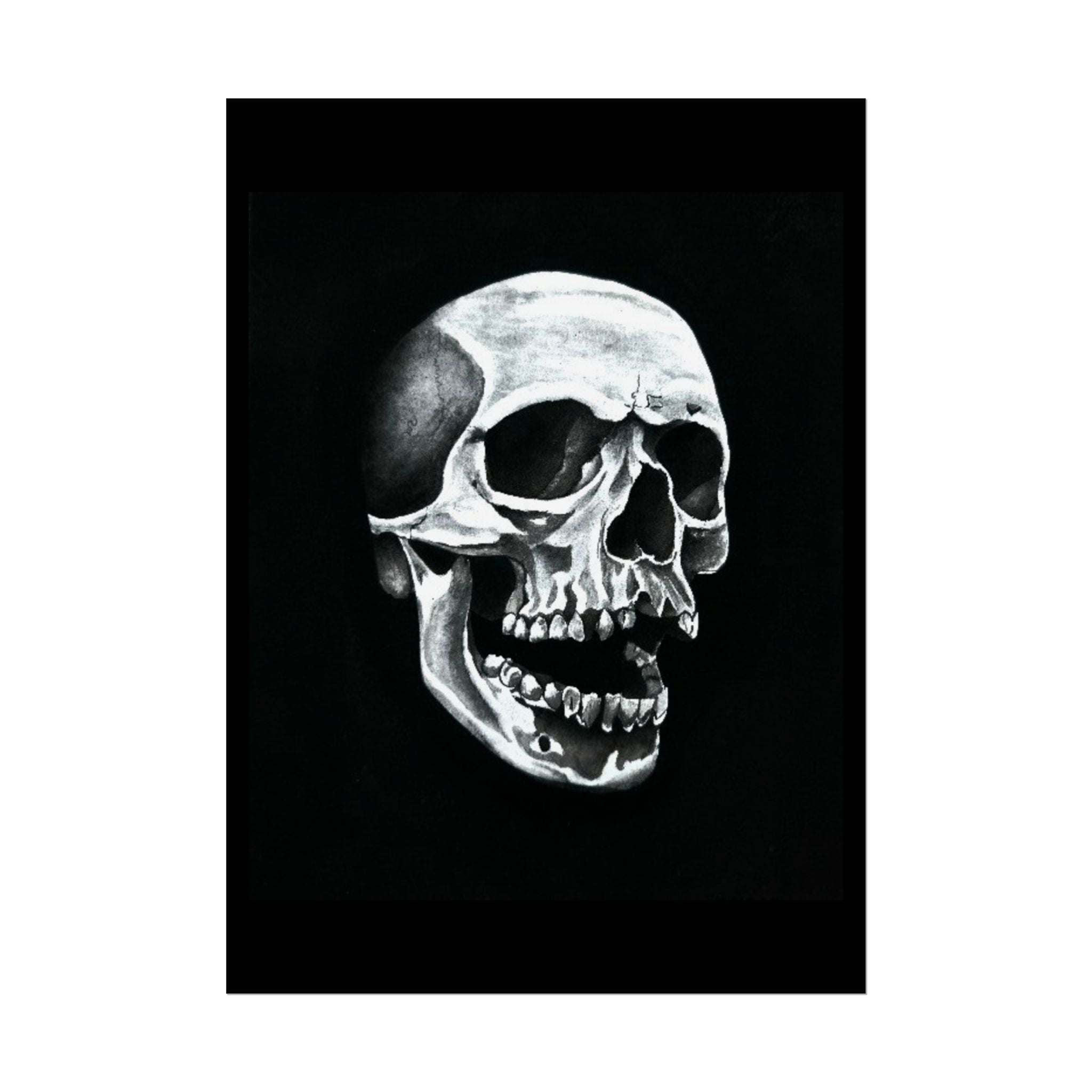 Skull Art Rolled Posters