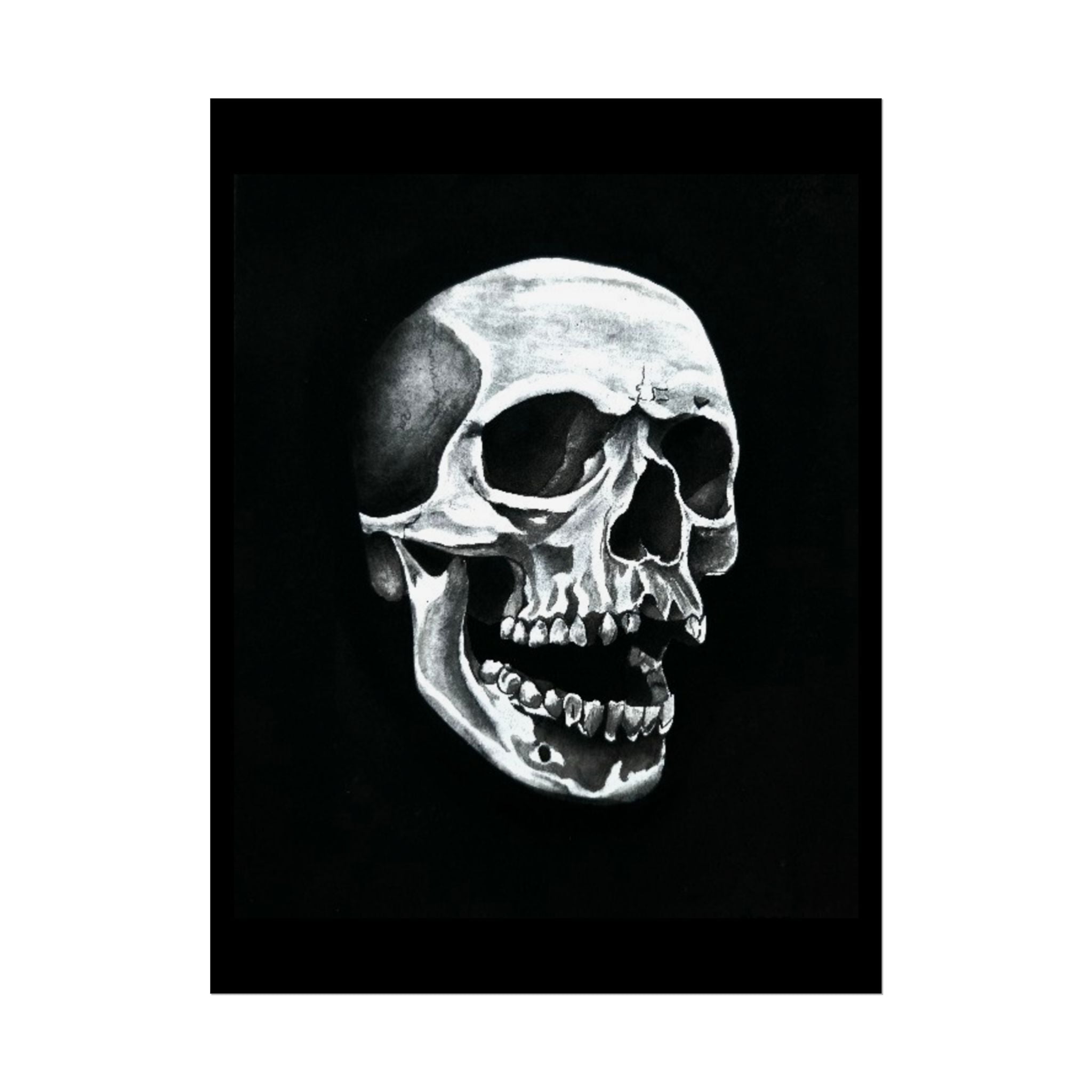 Skull Art Rolled Posters
