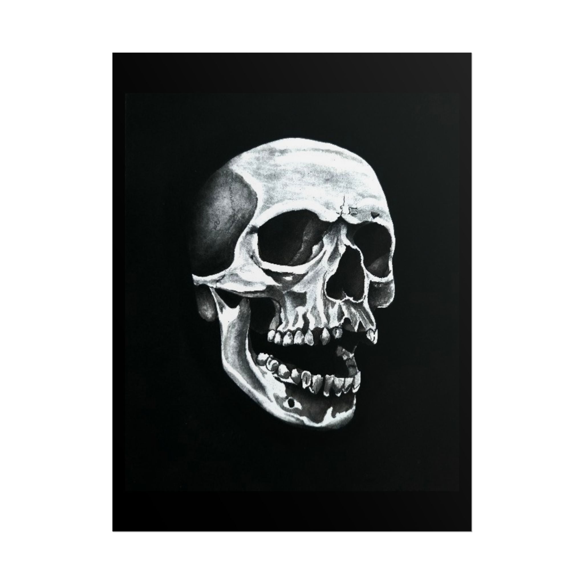 Skull Art Rolled Posters