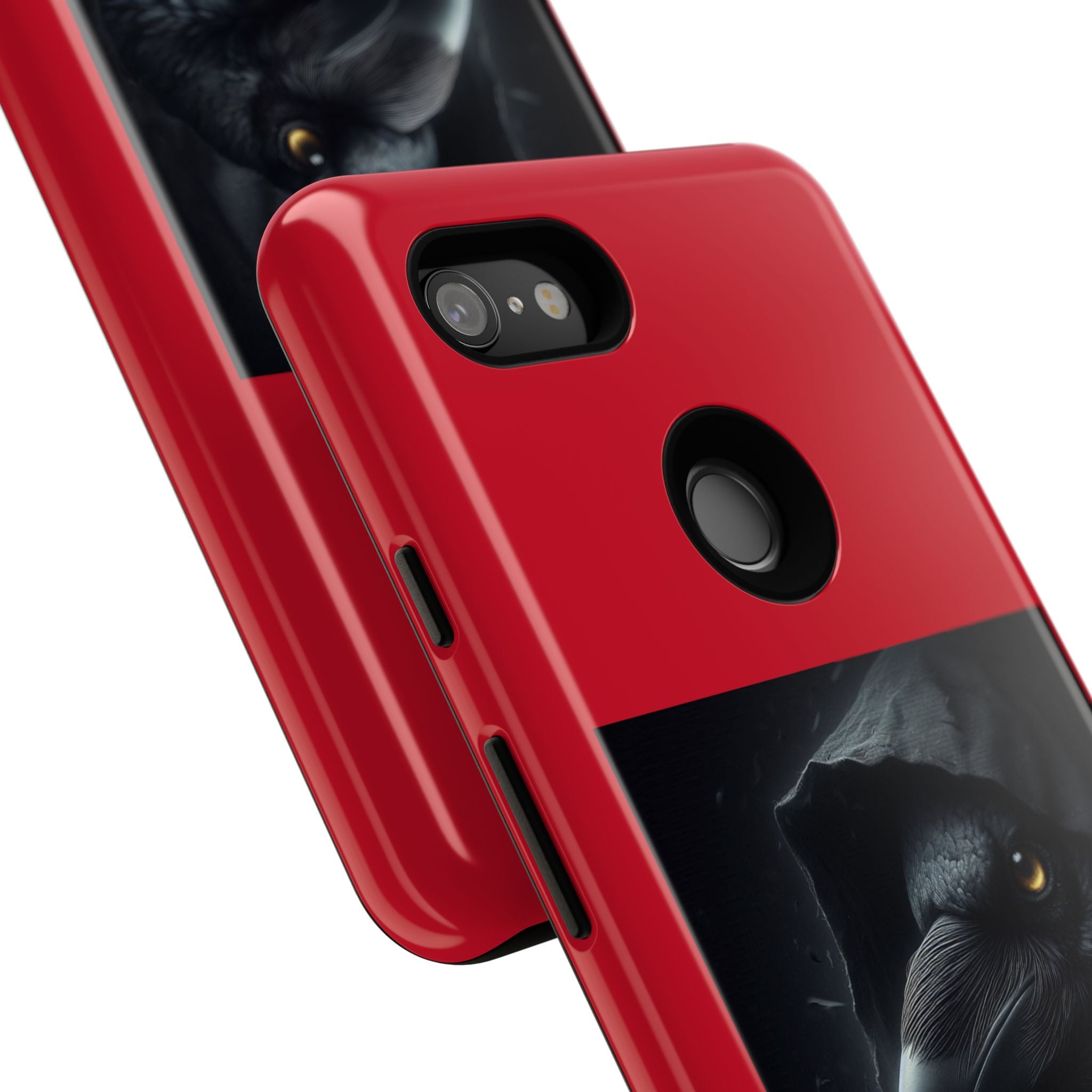 The Raven King Cases