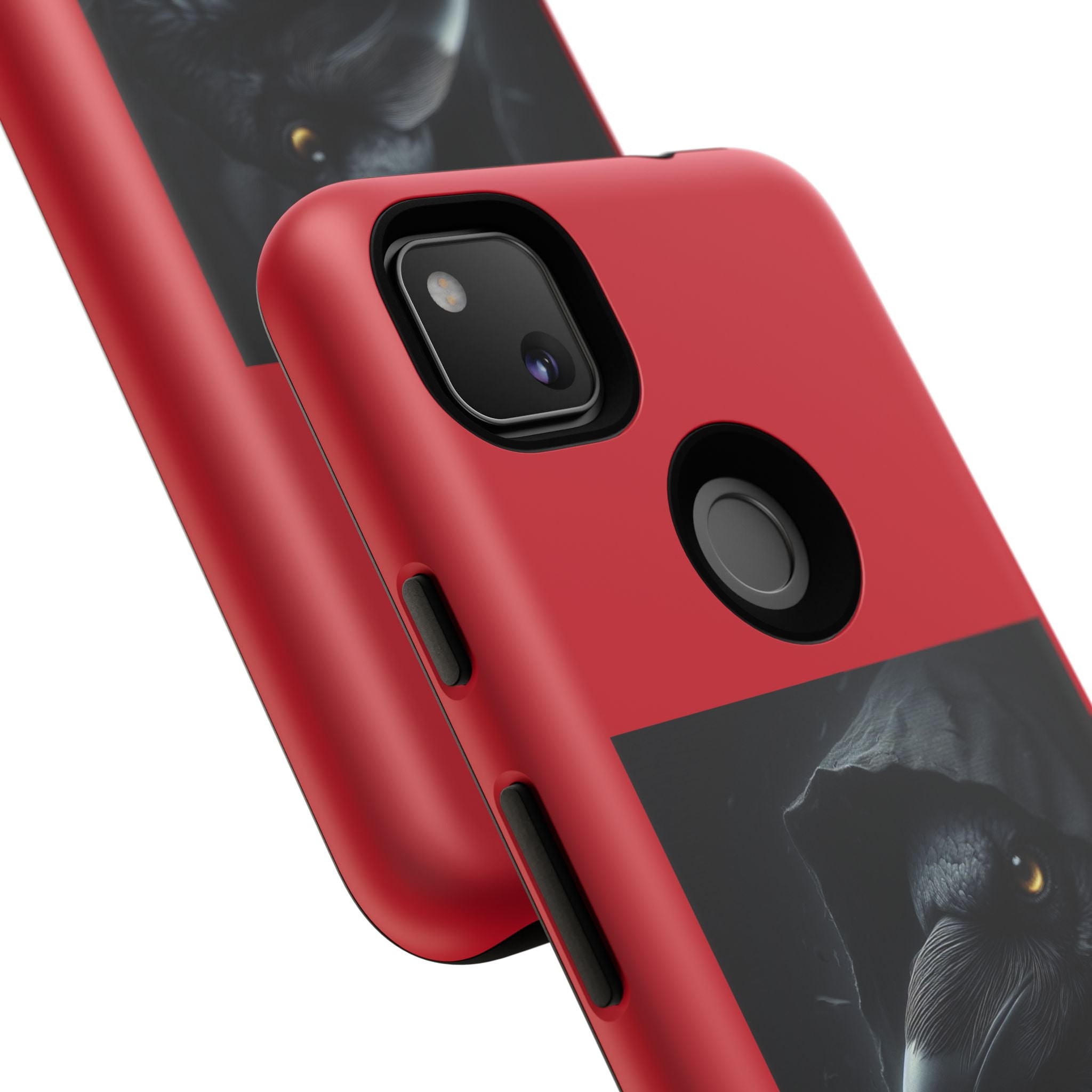 The Raven King Cases